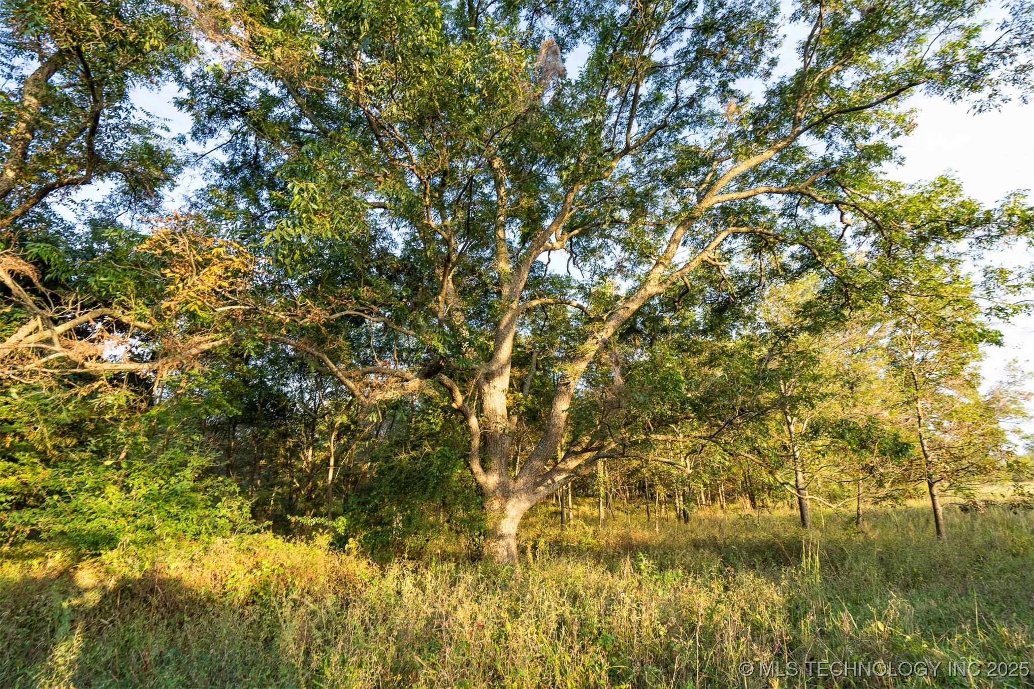 Haskell, Oklahoma, 74436, United States, ,Residential,For Sale,1989119