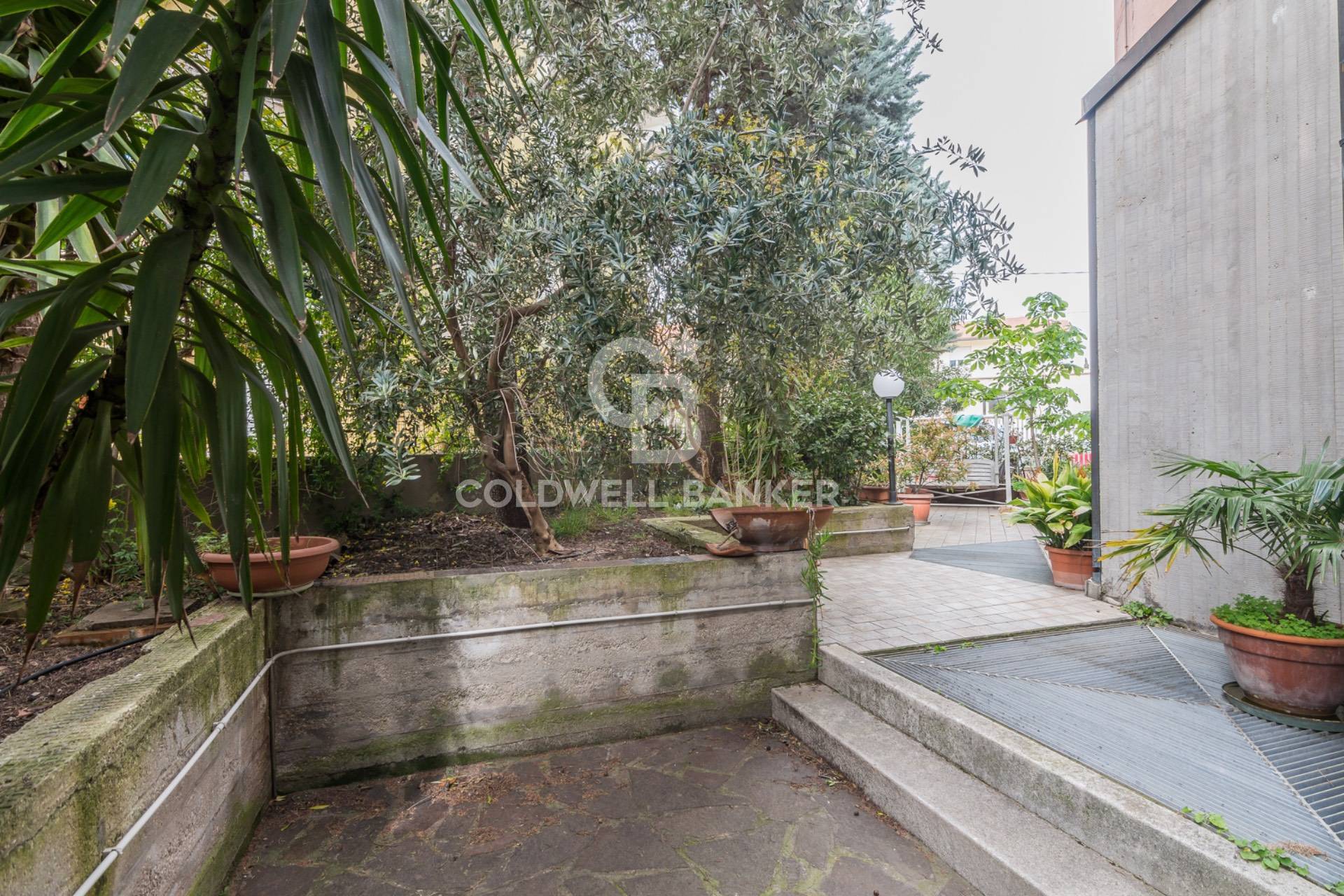 Rimini, Rimini, 47037, IT, 5 Bedrooms Bedrooms, ,6 BathroomsBathrooms,Residential,For Sale,1821415