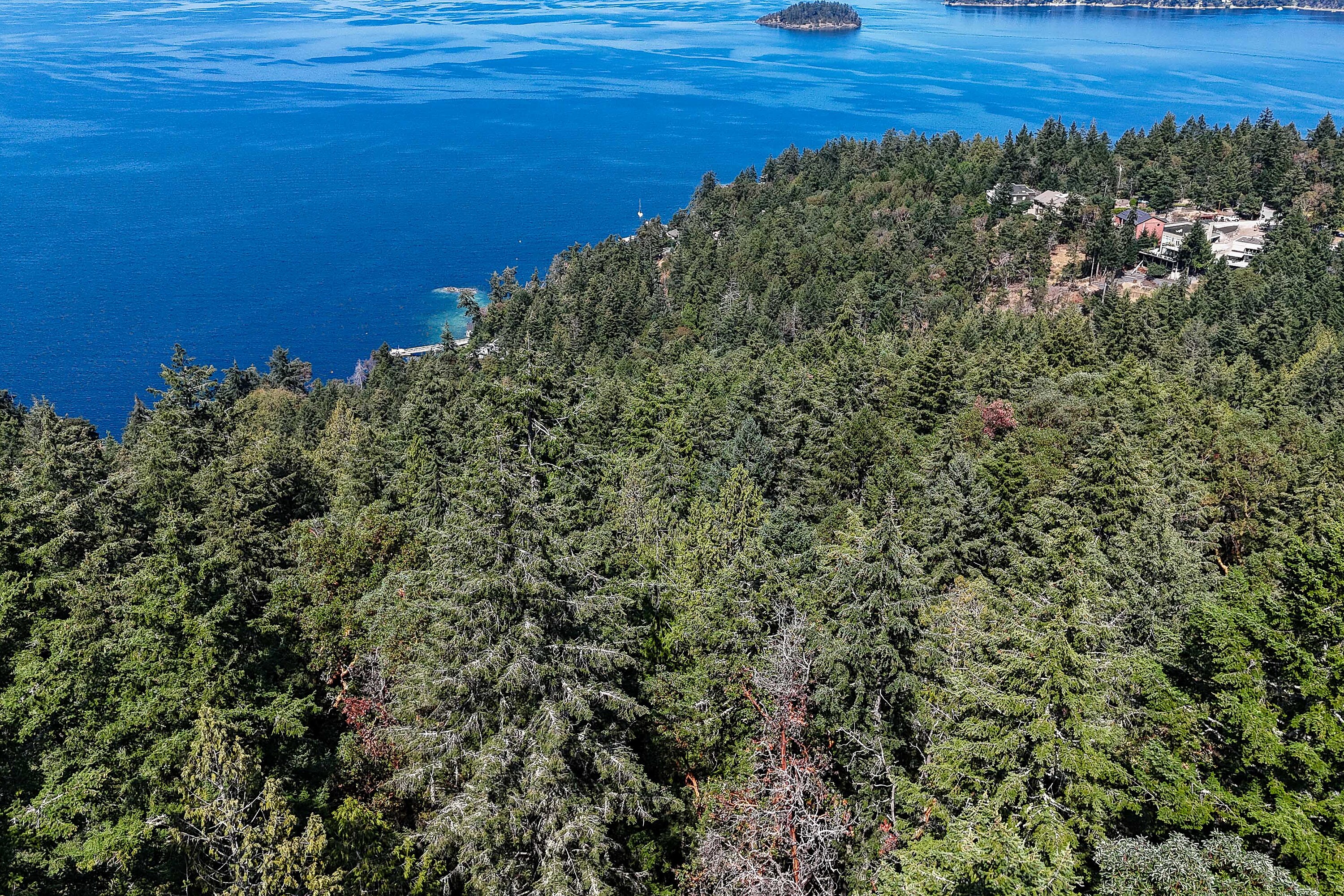  Scenic Peninsula Acreage - 物件實景