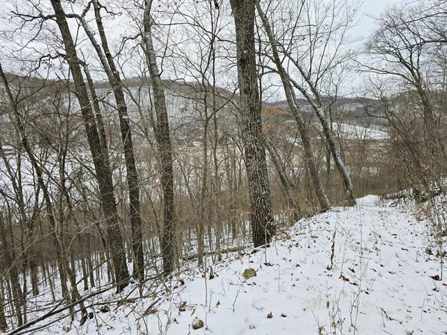 Gays Mills, Wisconsin, 54631, United States, 3 Bedrooms Bedrooms, ,3 BathroomsBathrooms,Residential,For Sale,2006070