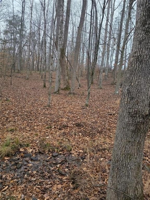 Talking Rock, Georgia, 30175, United States, 1 Bedroom Bedrooms, ,1 BathroomBathrooms,Residential,For Sale,2005739