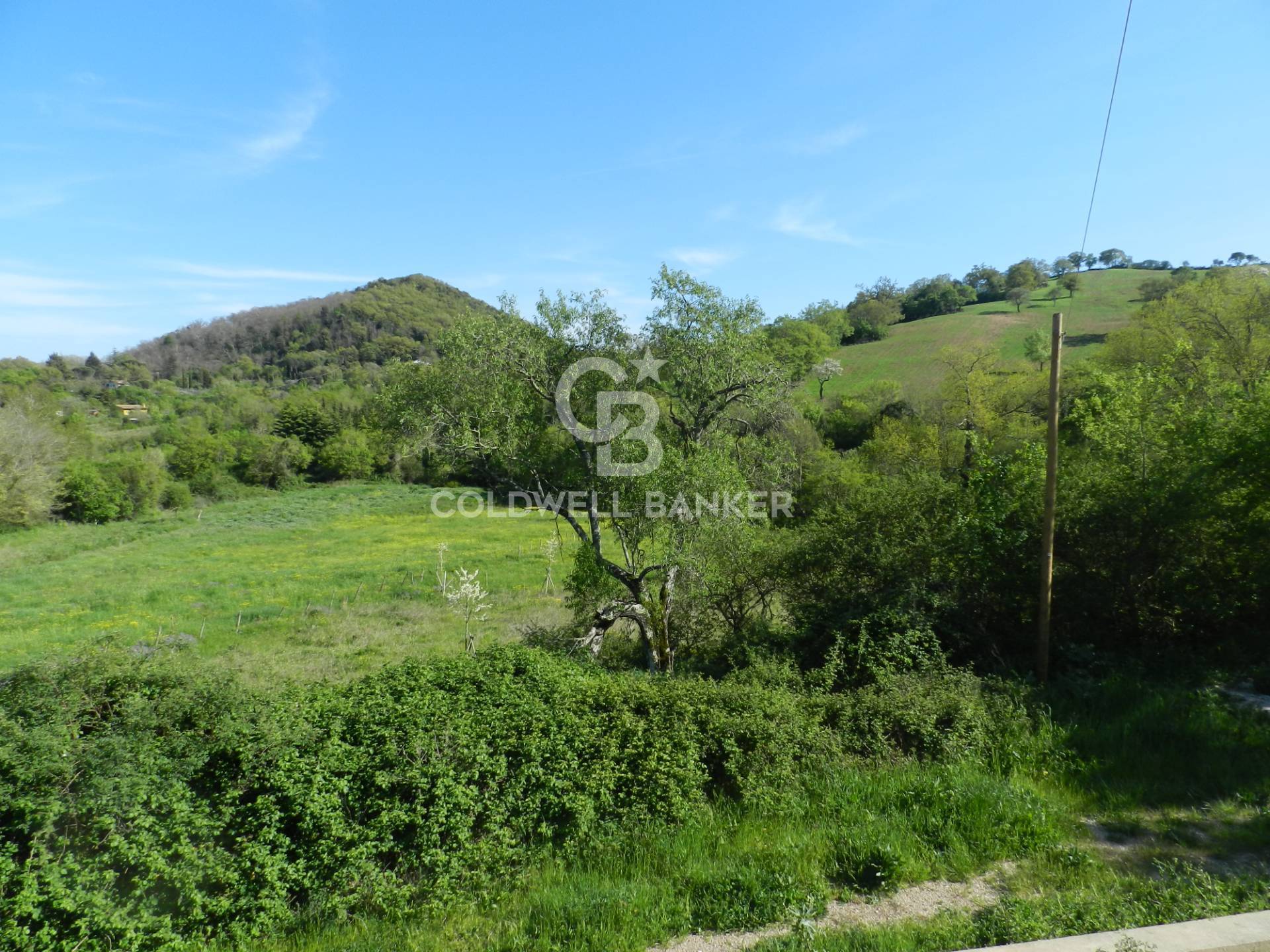 Tolfa, Roma, 00059, IT, 6 Bedrooms Bedrooms, ,6 BathroomsBathrooms,Residential,For Sale,1837839