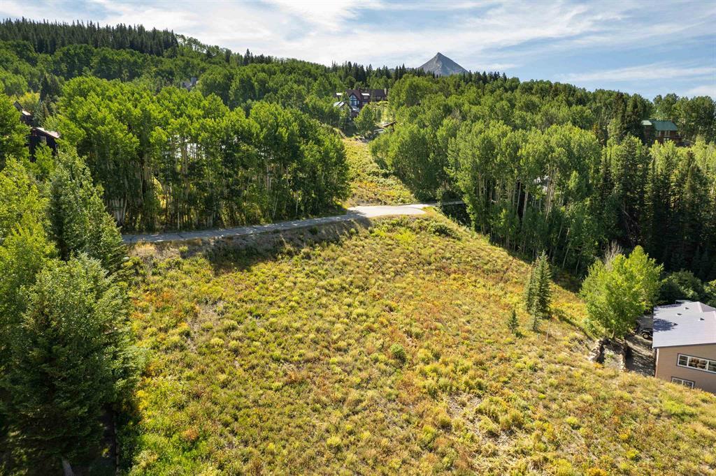 Mt. Crested Butte, Colorado, 81225, United States, ,Land,For Sale,1731584