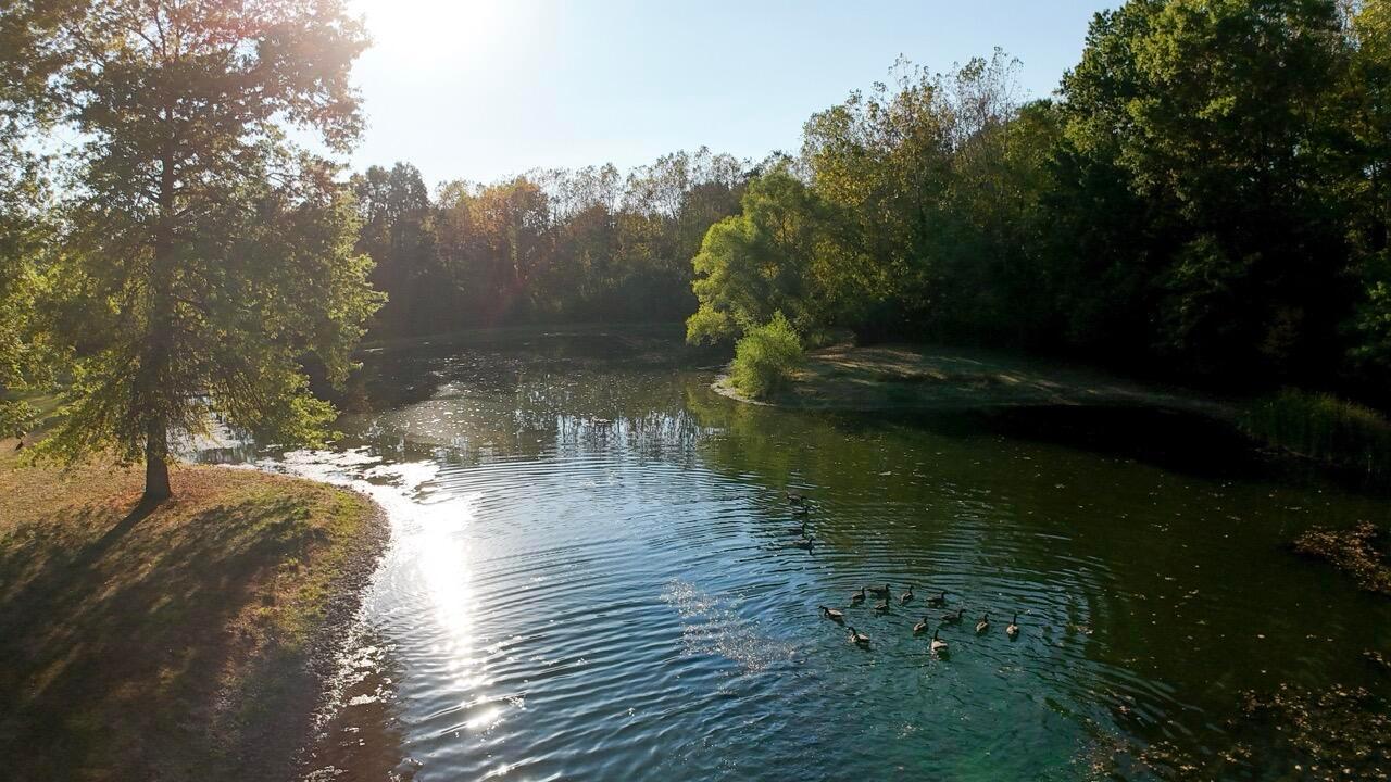 Cardington, Ohio, 43315, United States, 3 Bedrooms Bedrooms, ,2 BathroomsBathrooms,Residential,For Sale,1983191