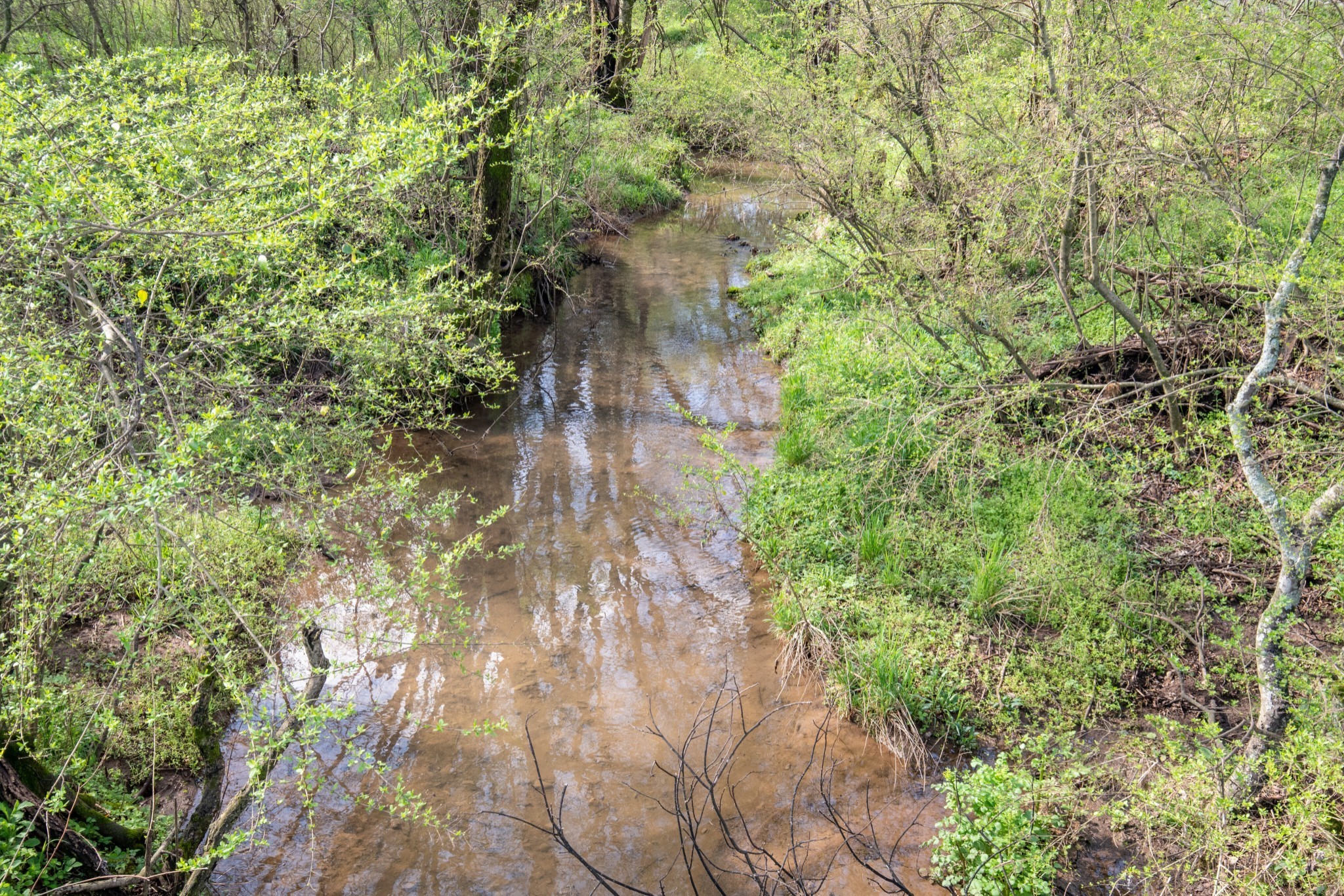  0 South Cross Bridges Road, Mount Pleasant, TN, 38474 - 物件實景