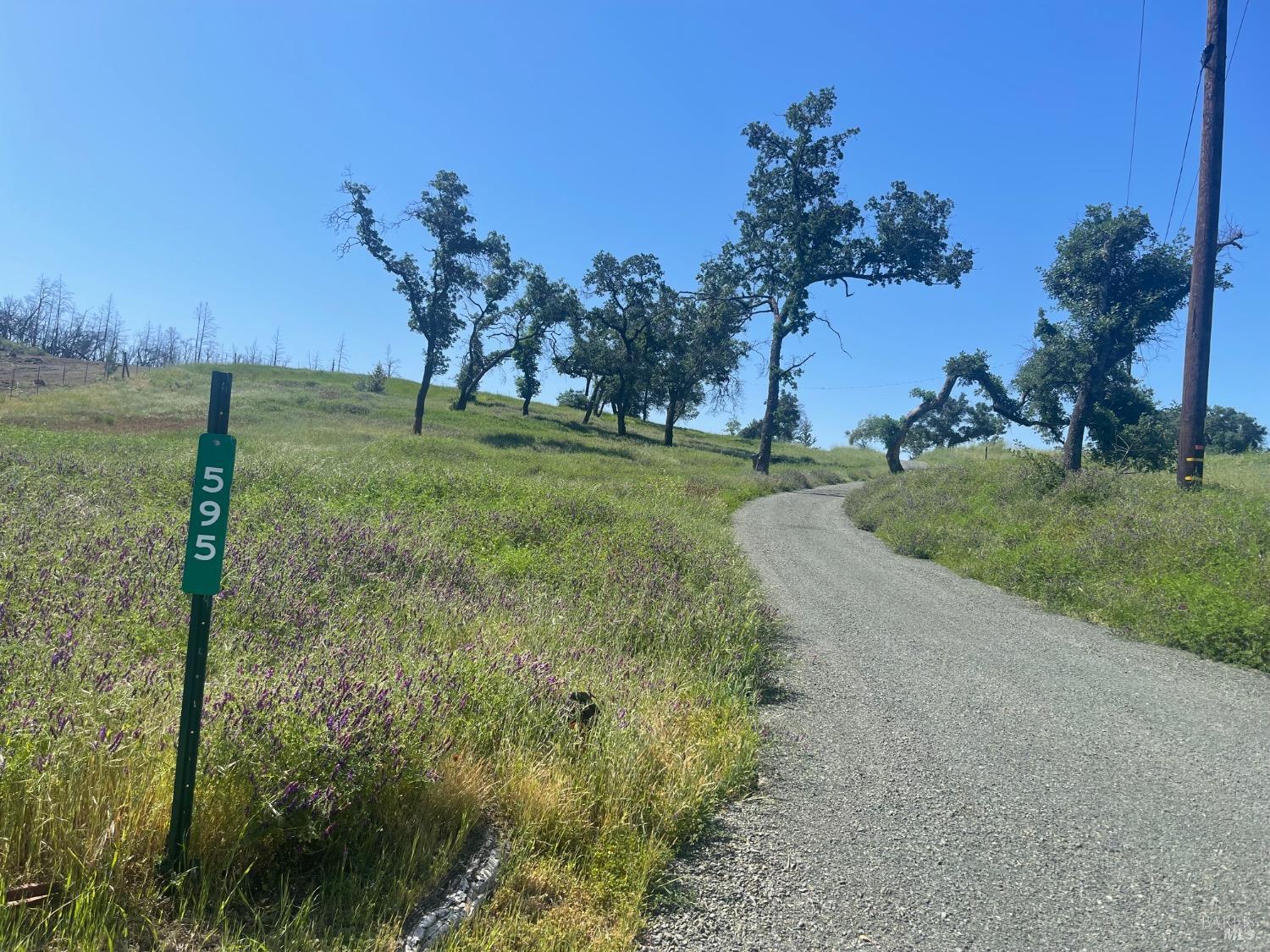St. Helena, California, 94574, United States, ,Residential,For Sale,1793007