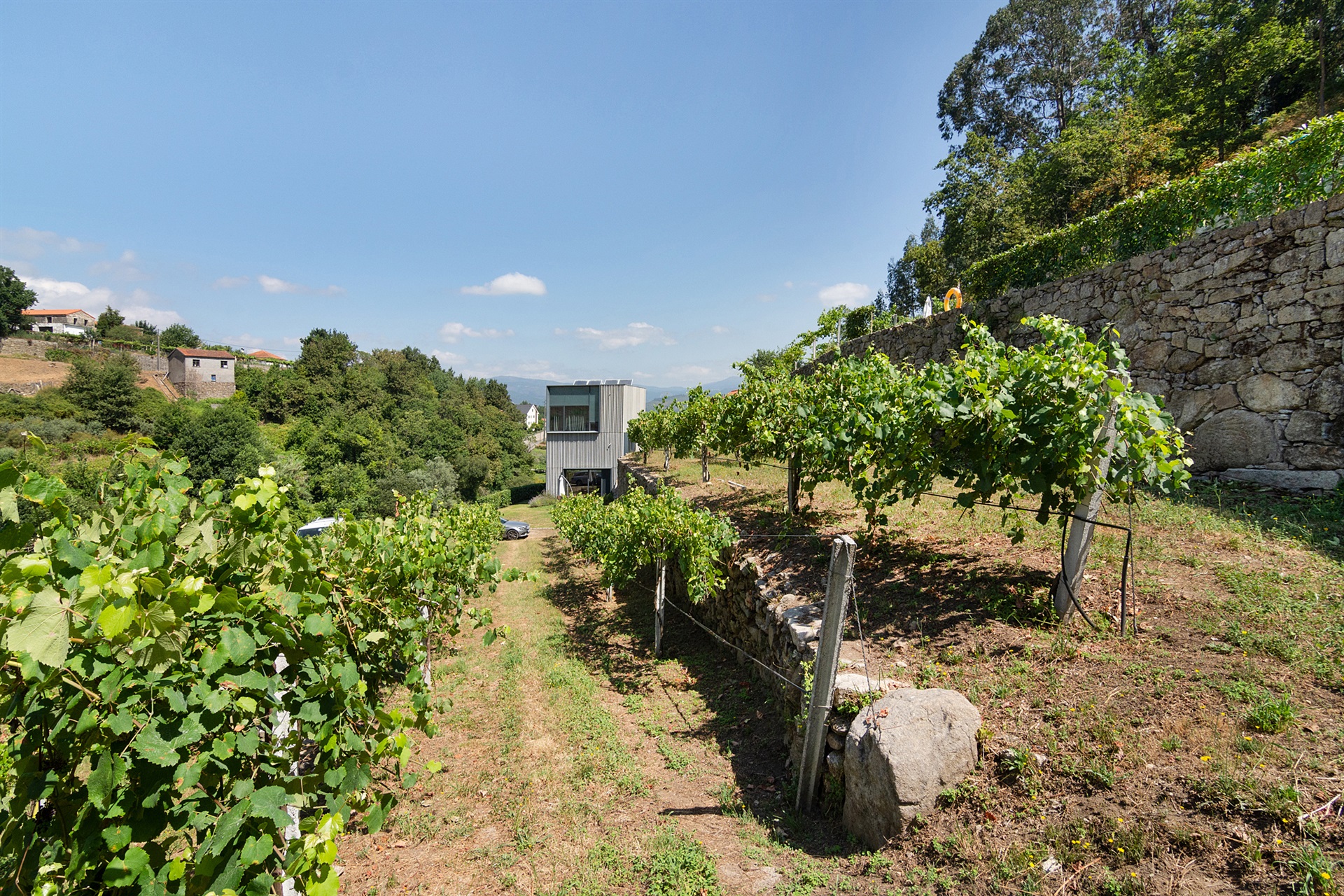  Farm, 5 bedrooms, for Sale - 物件實景