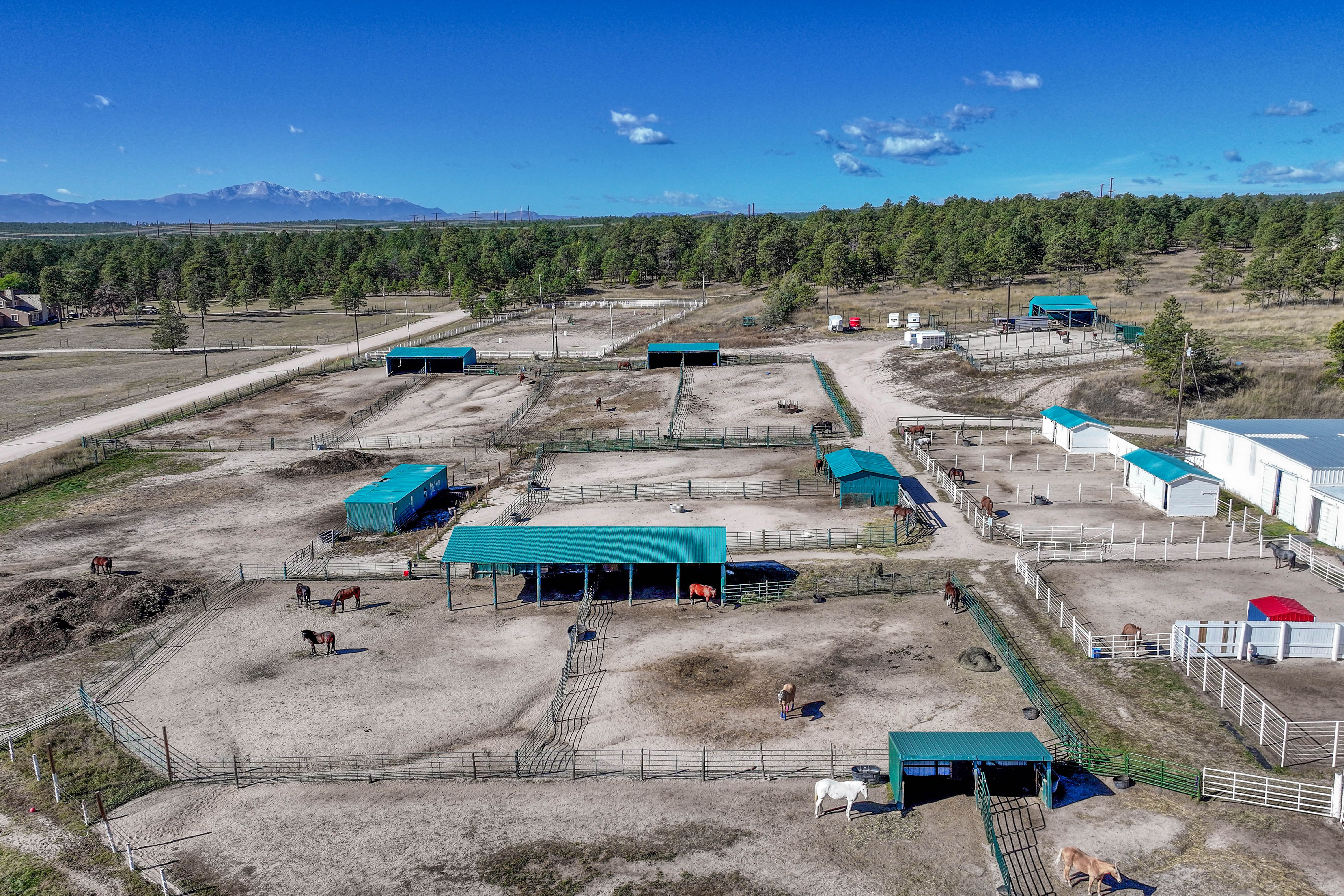  Historic Pine Run Ranch in Black Forest on rare 60 acres - 物件實景