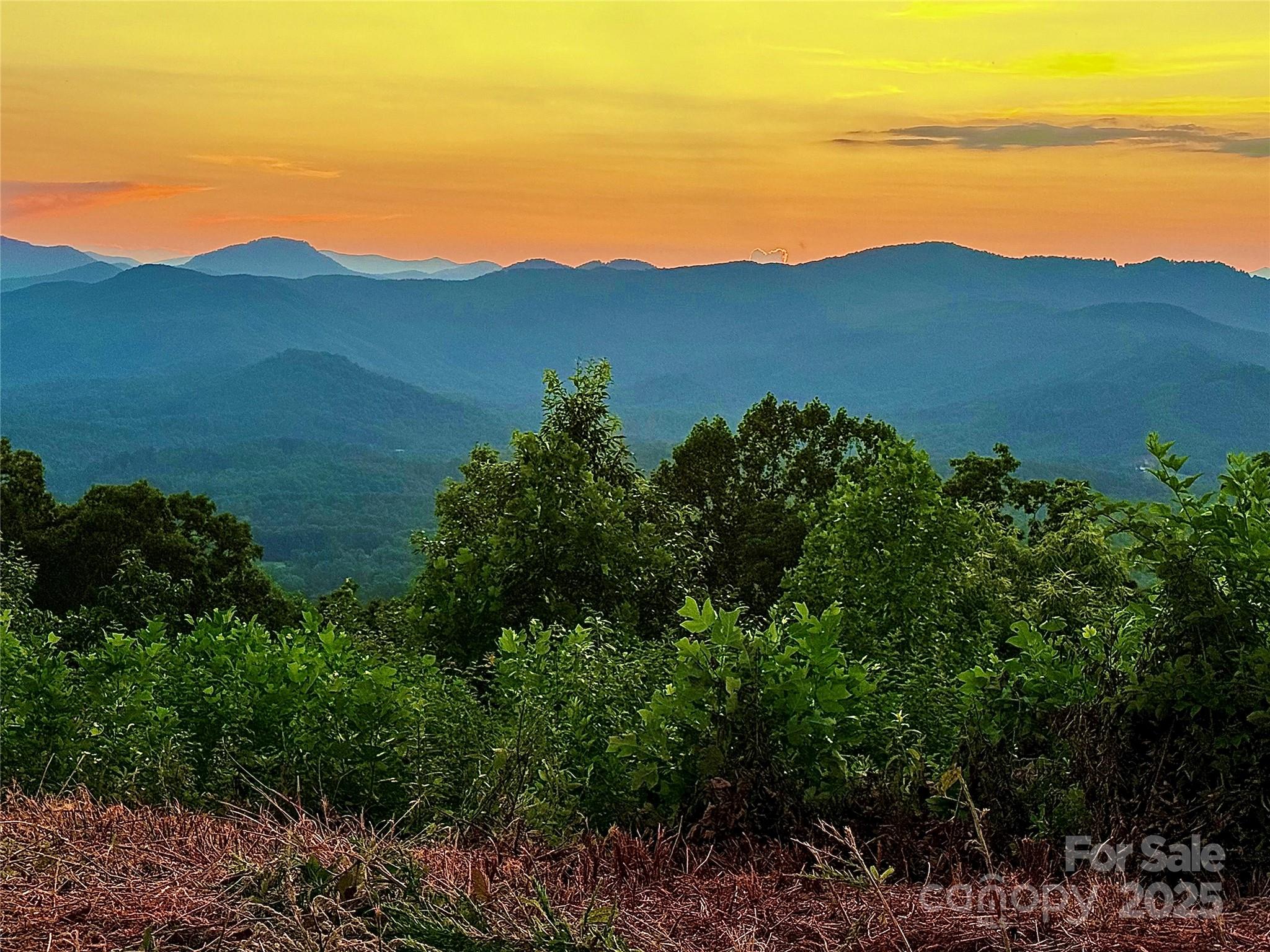 Union Mills, North Carolina, 28167, United States, ,Land,For Sale,2002833