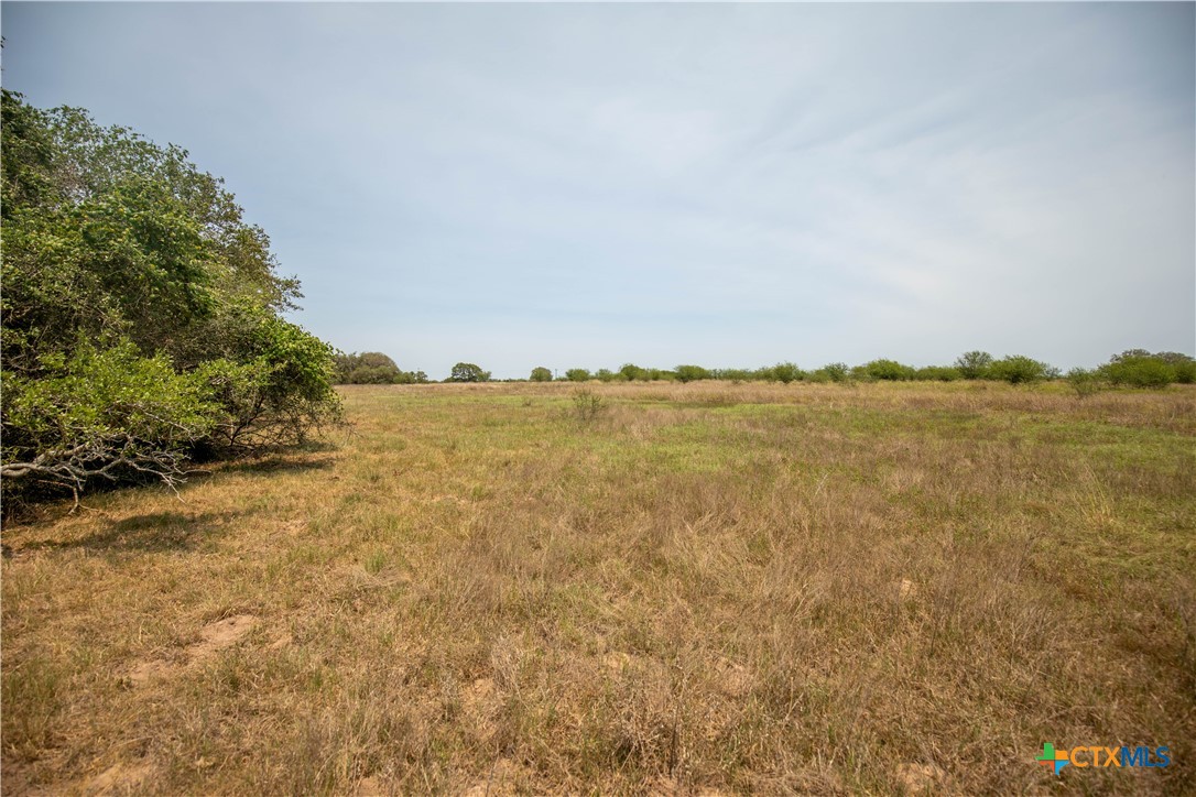 Cuero, Texas, 77954, United States, ,Residential,For Sale,1950887