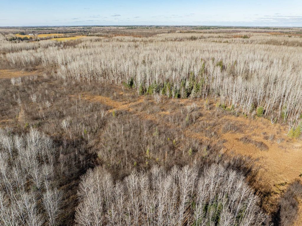 Grand Rapids, Minnesota, 55744, United States, ,Land,For Sale,1983791