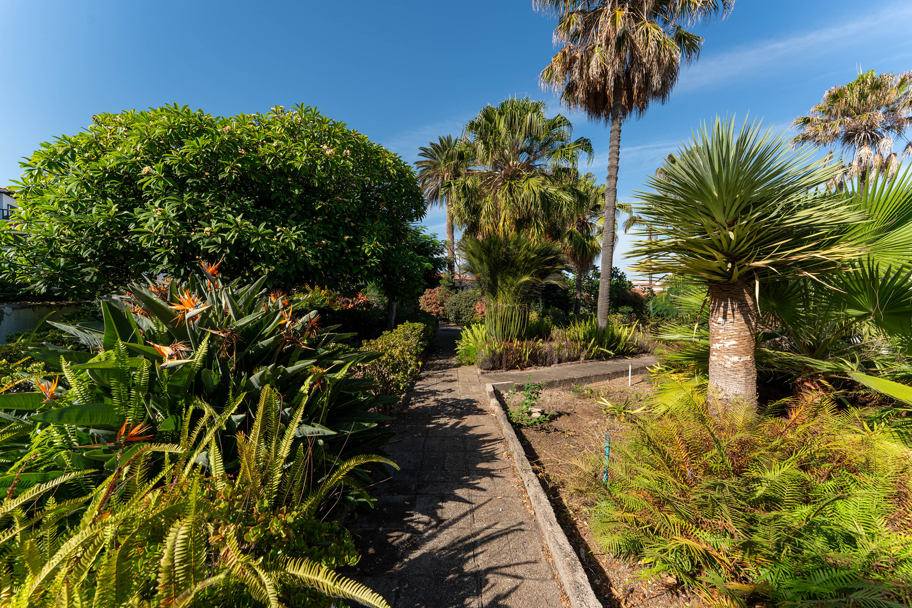  Casa Cólogan La Paz: Historic estate in Puerto de la Cruz - 物件實景
