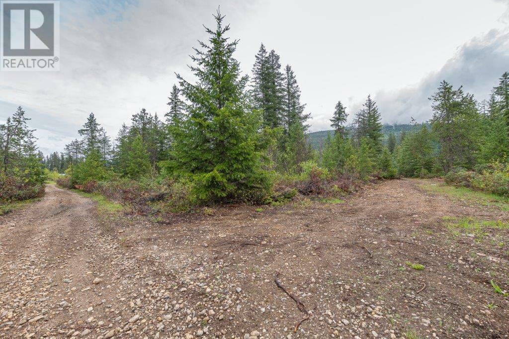 MALAKWA, British Columbia, V0E 2J0, CA, ,Residential,For Sale,1839000
