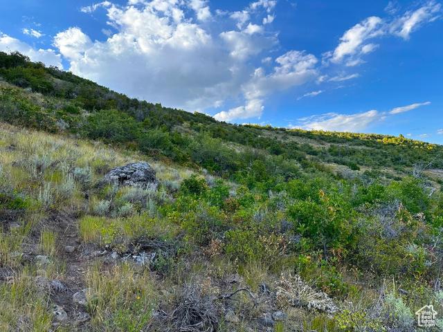 Kamas, Utah, 84036, United States, ,Residential,For Sale,1976580