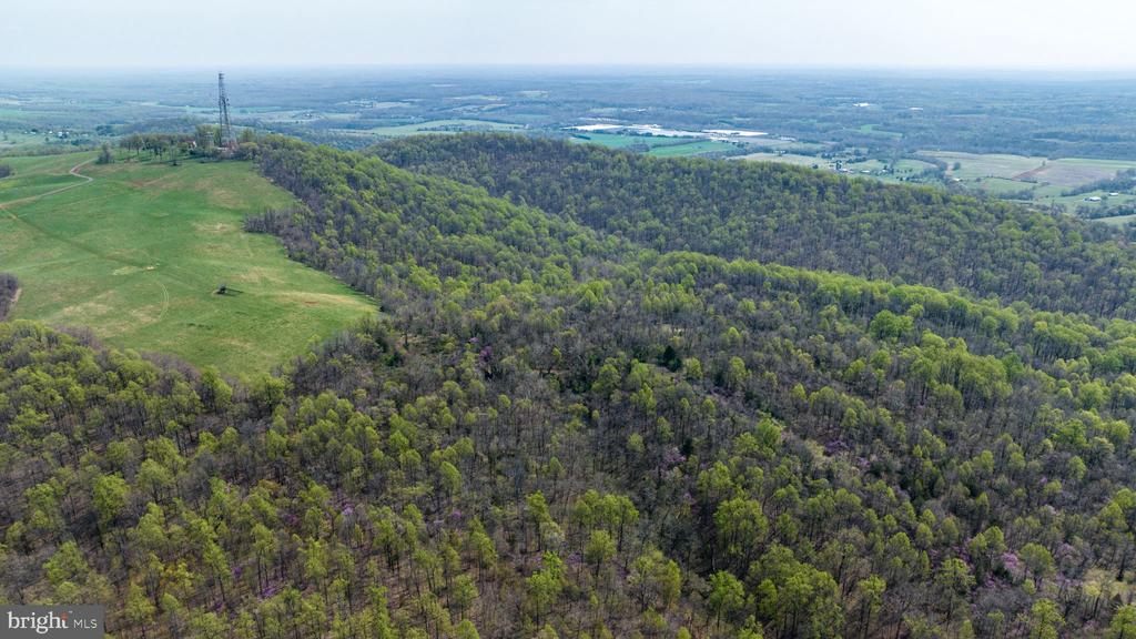 Rapidan, Virginia, 22733, United States, ,Land,For Sale,1975571