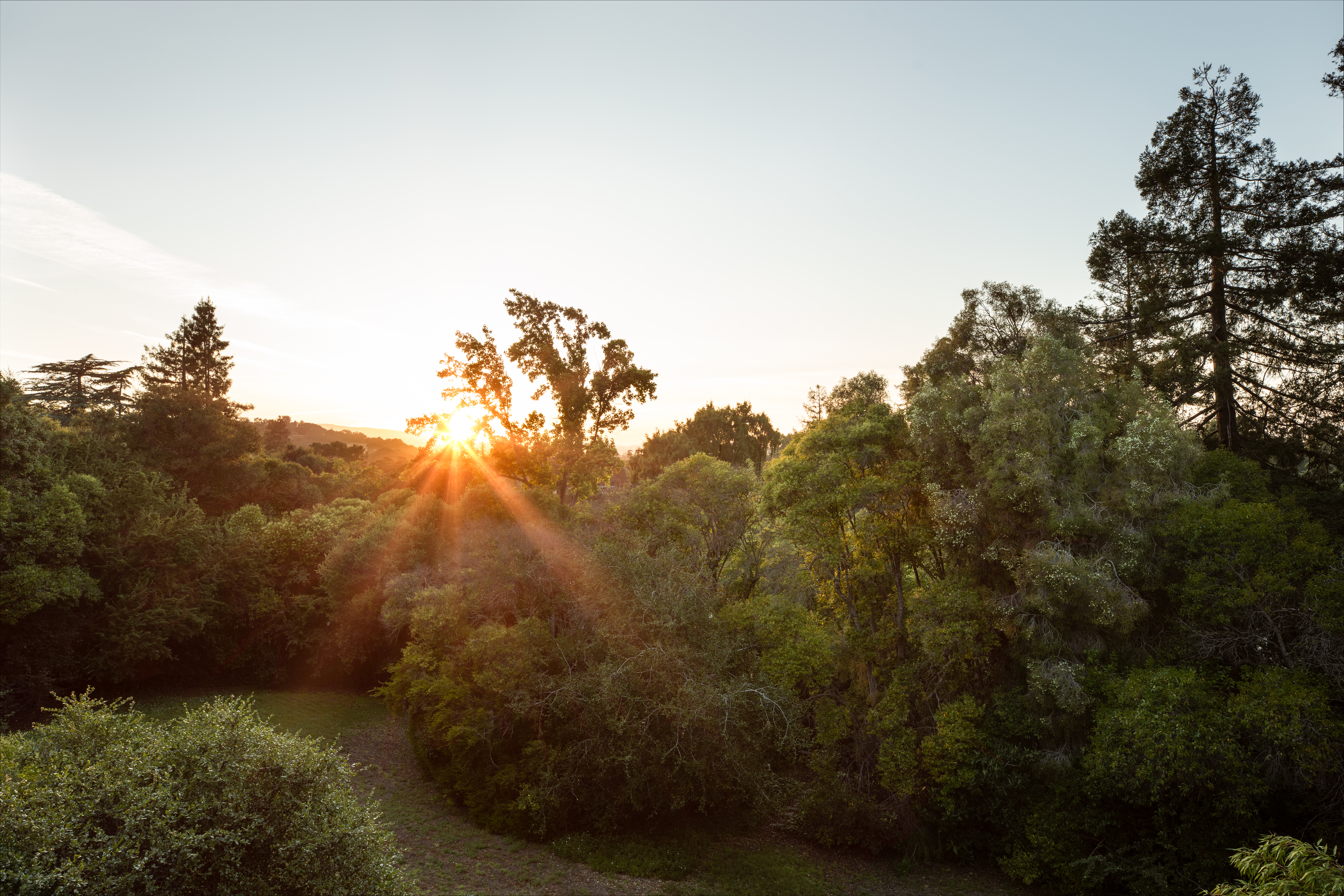  746 Santa Ynez Street, Stanford, CA 94305 - 物件實景