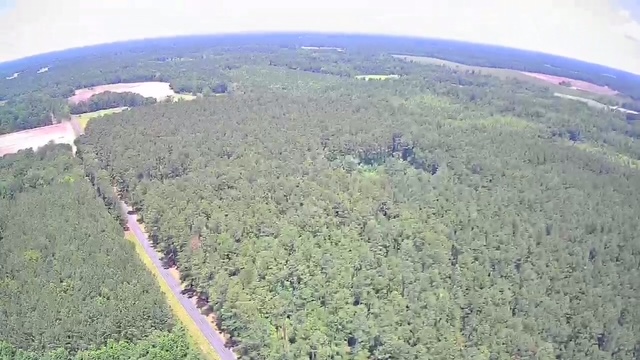 Reevesville, South Carolina, 29471, United States, ,Land,For Sale,1868815