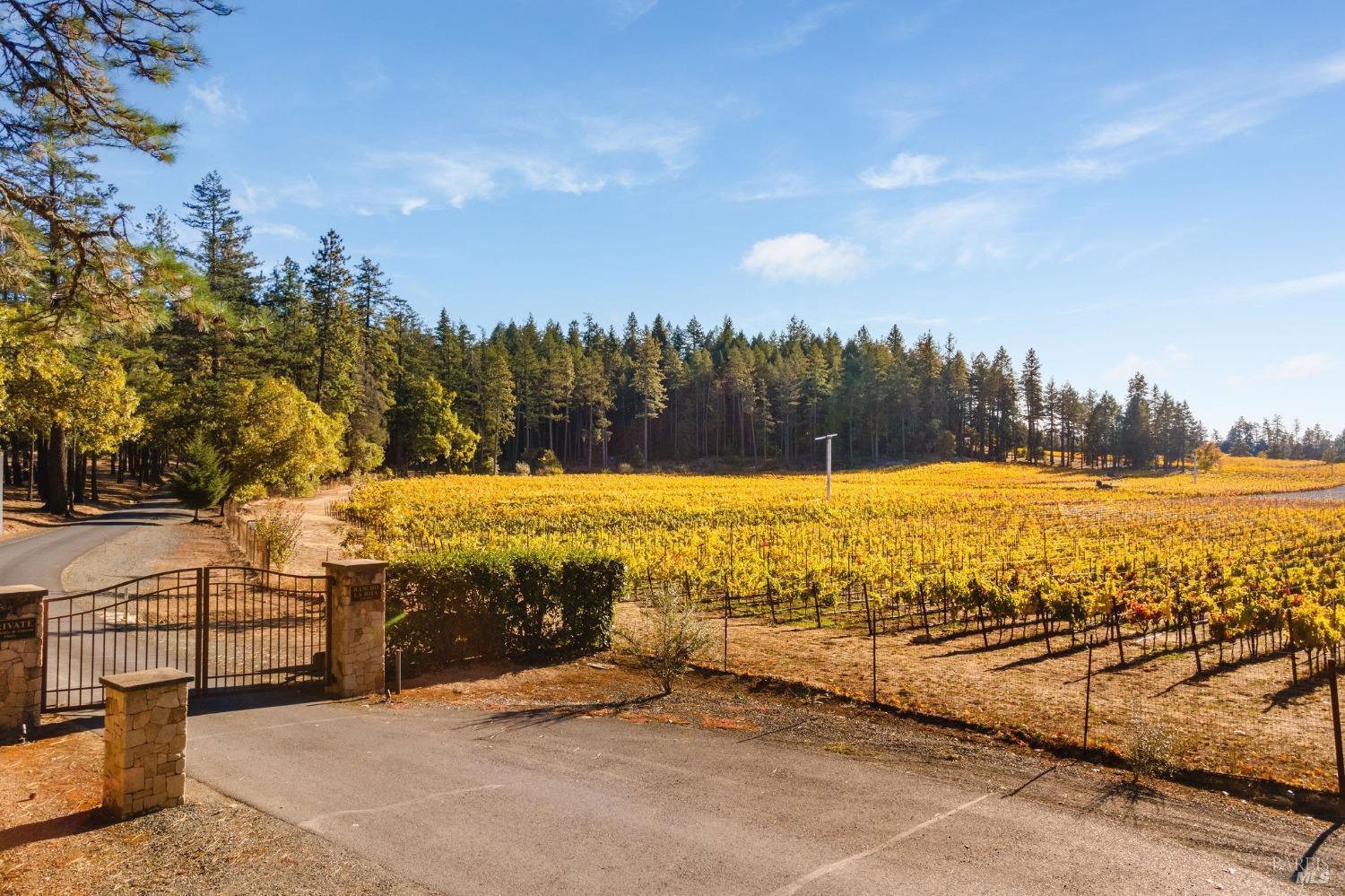 Angwin, California, 94508, United States, 3 Bedrooms Bedrooms, ,4 BathroomsBathrooms,Residential,For Sale,1836734