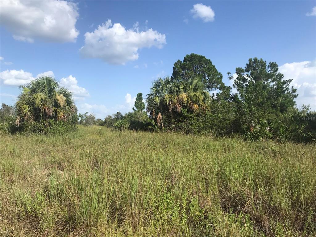 Punta Gorda, Florida, 33982, United States, ,Land,For Sale,1806148