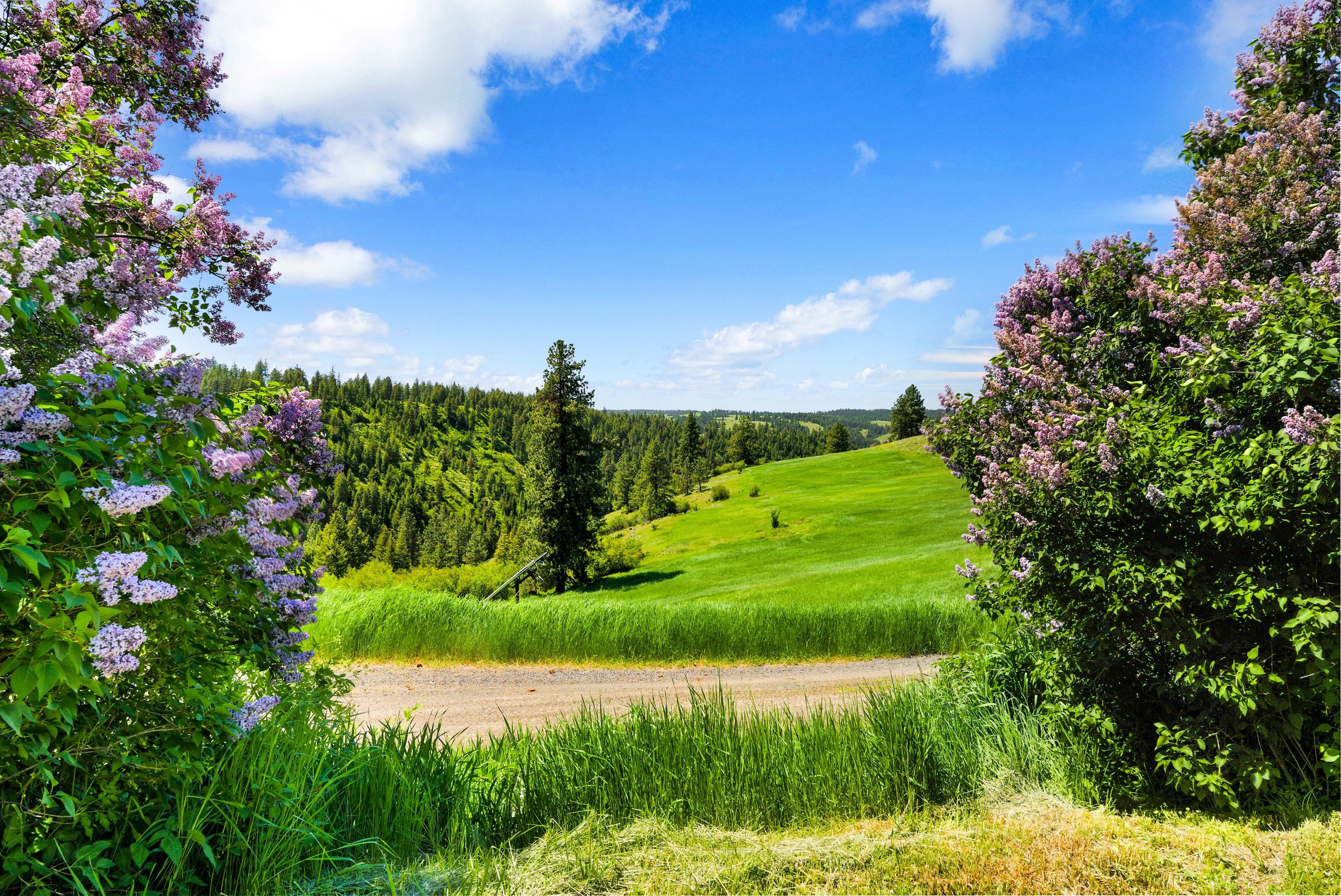  Idaho Dream Property: Hunting, Fishing & Total Privacy - 物件實景