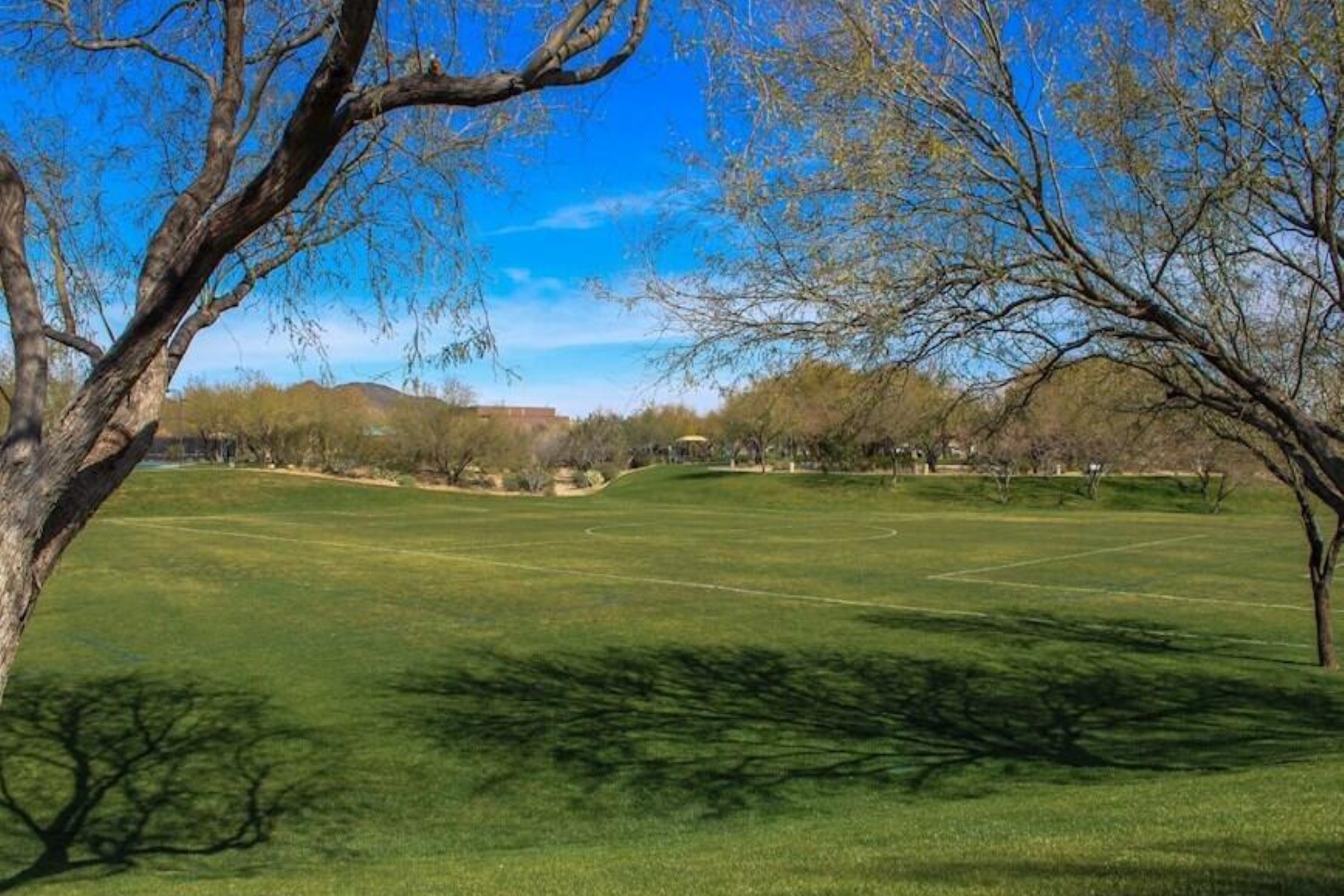  2425 W Bronco Butte Trail¦Phoenix, AZ - 物件實景