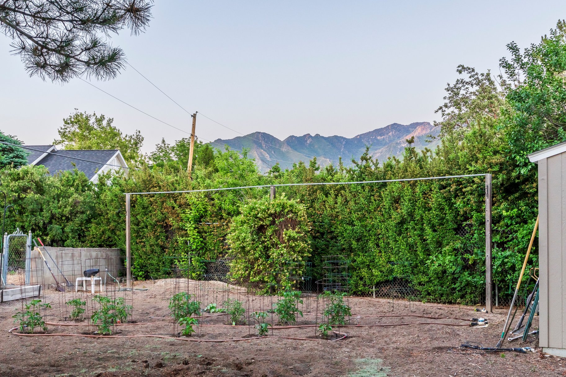  Tastefully Updated Holladay Rambler on .60 acre Manicured Lot - 物件實景