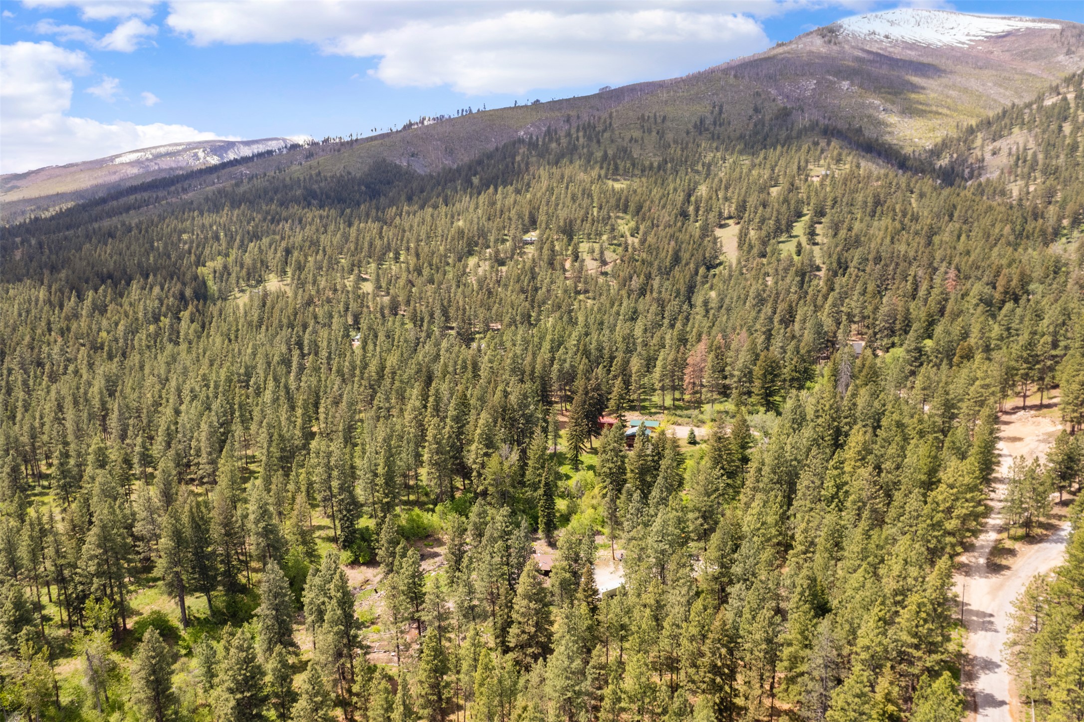  363 Owings Creek Road, Hamilton, MT, 59840 - 物件實景