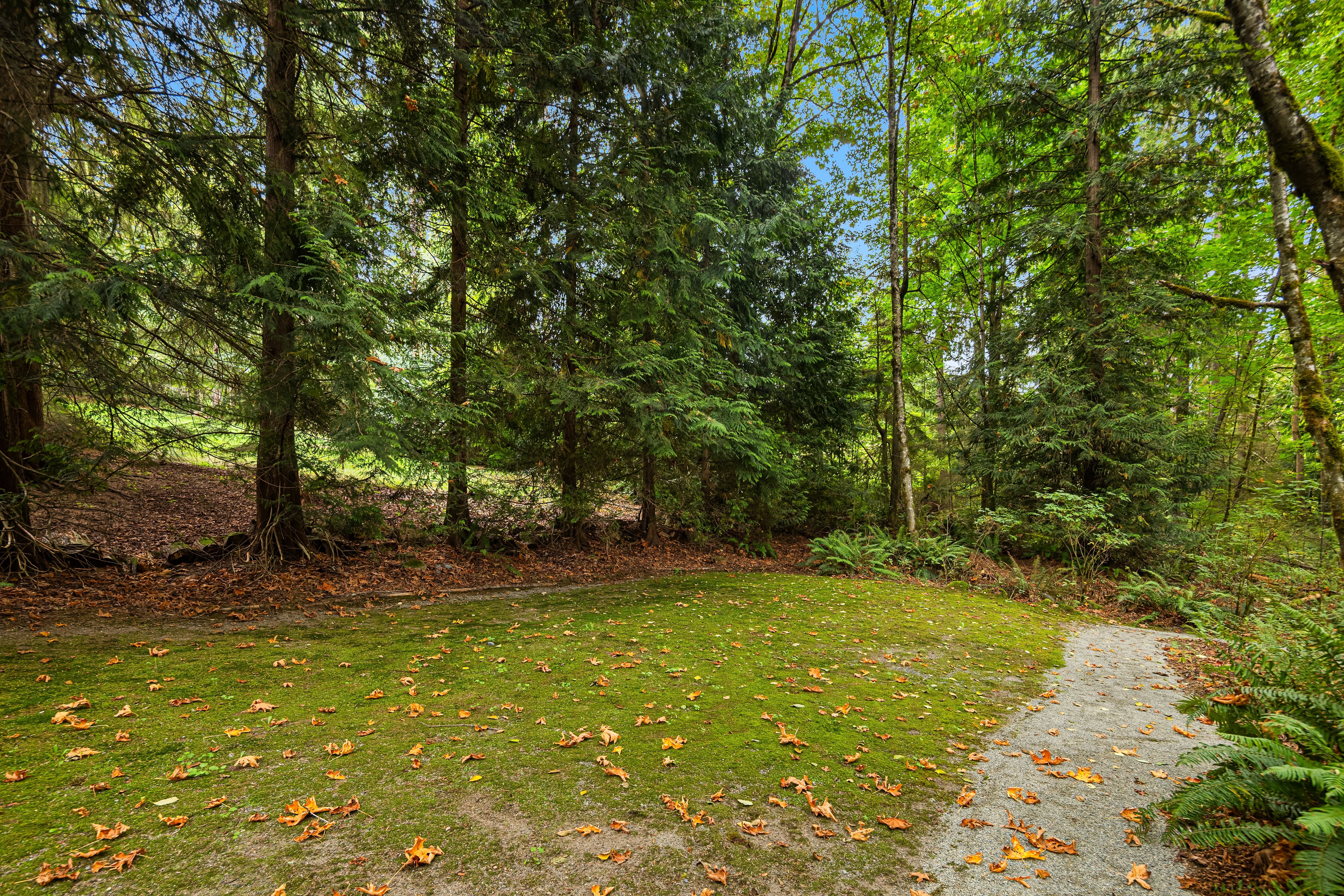  21007 NE 117th St, Redmond, WA 98053 - 物件實景