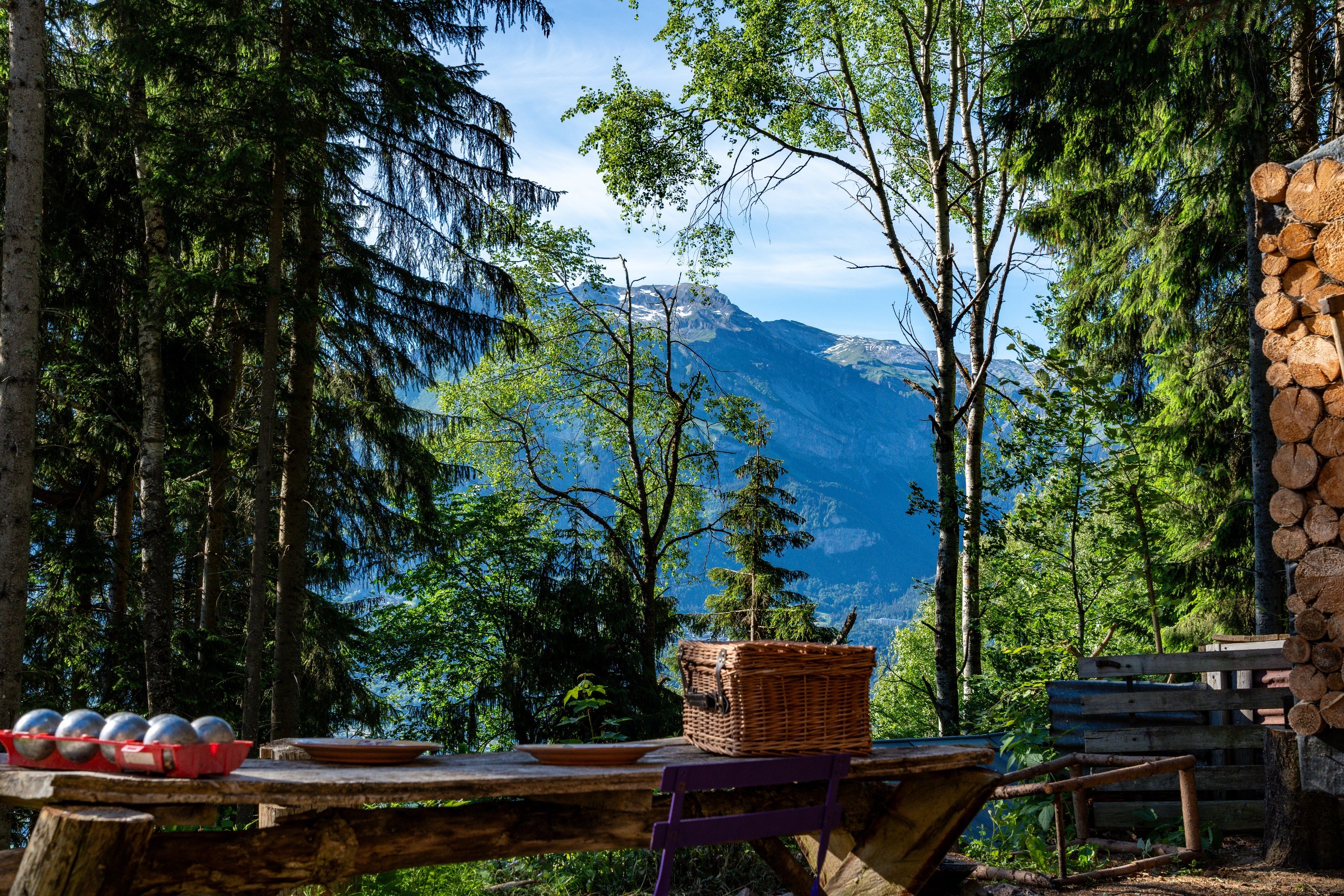  EXCLUSIVITY - CHALET DIANE - 物件實景