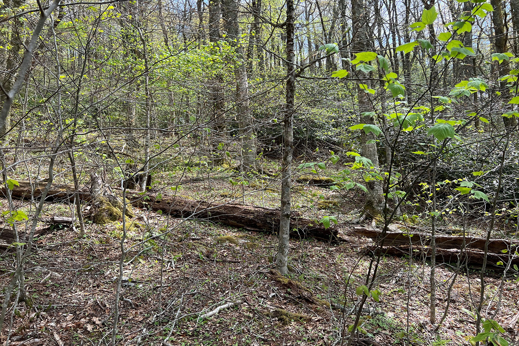  PARKWAY CROSSING - BLOWING ROCK - 物件實景