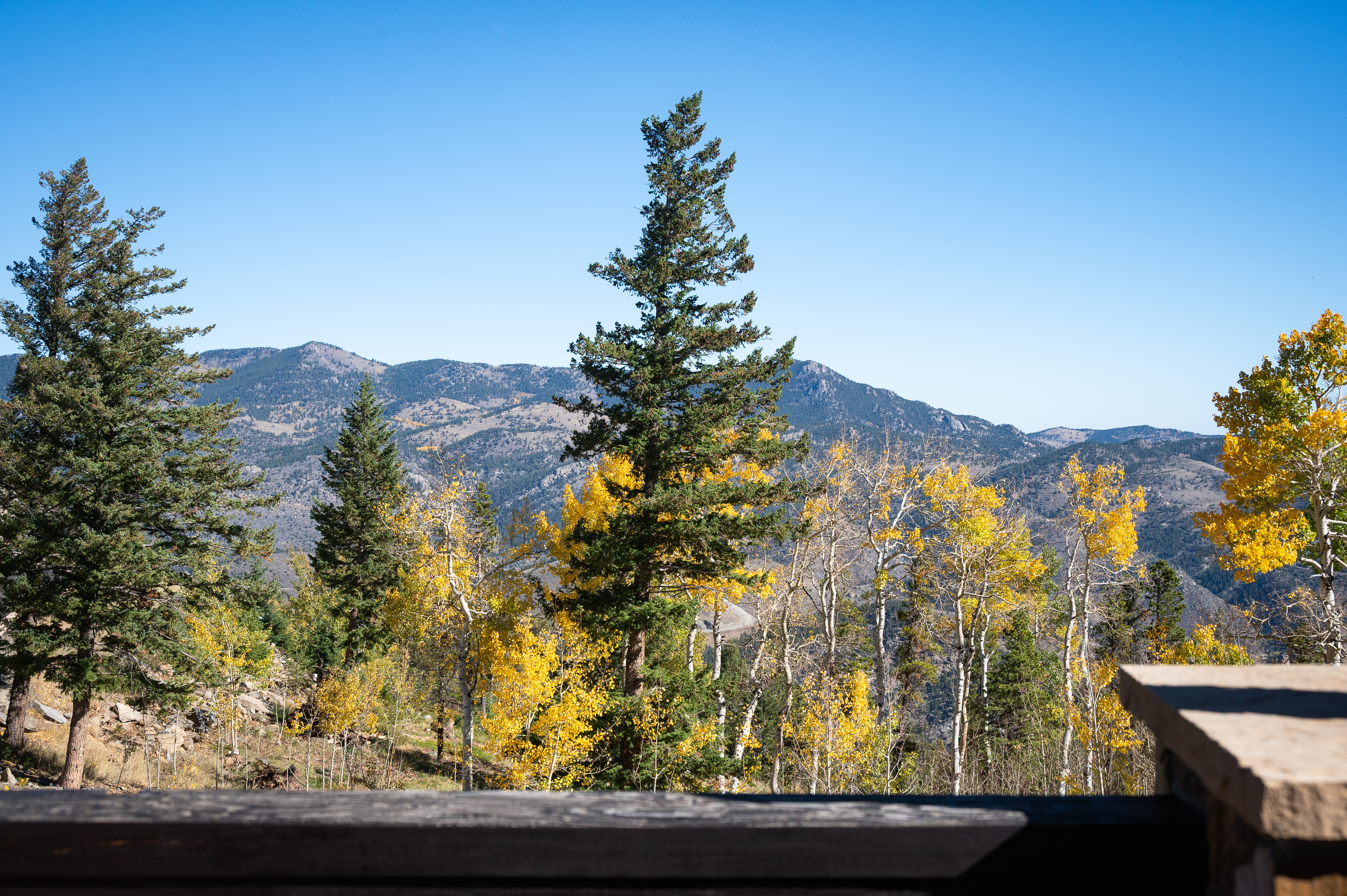  Luxury Mountain retreat with over 7,000 SF - 物件實景
