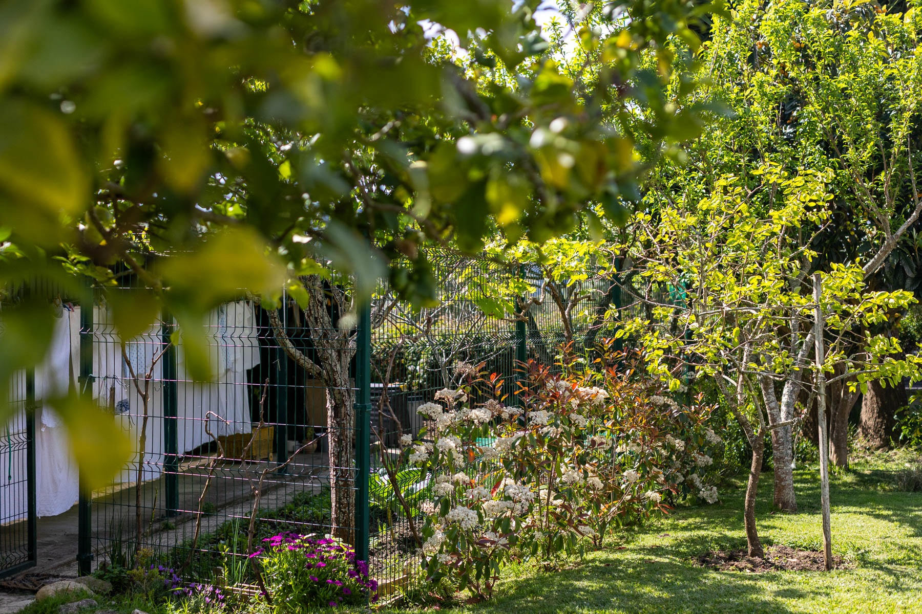  Detached house, 4 bedrooms, for Sale - 物件實景