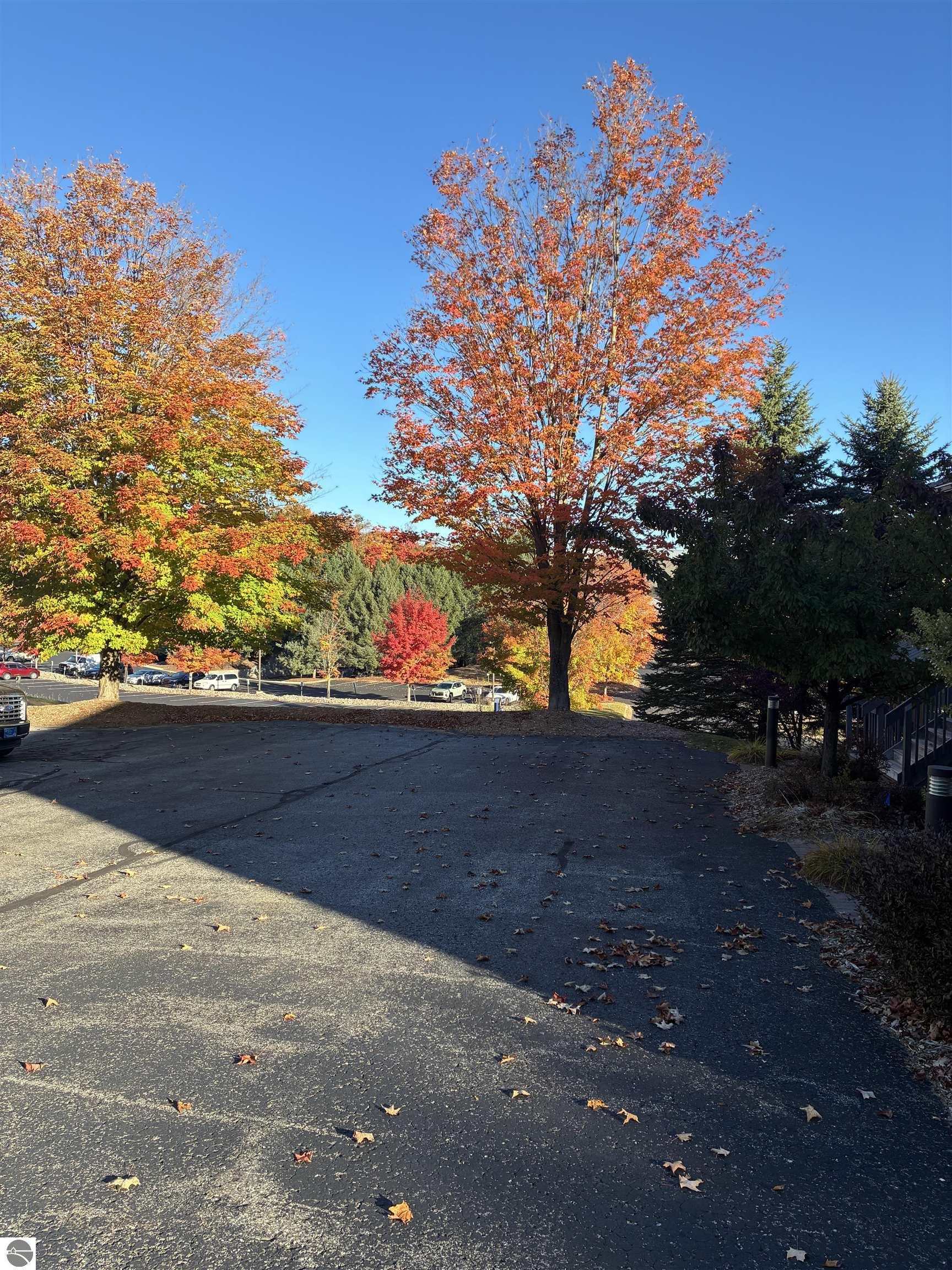 Bellaire, Michigan, 49615, United States, 3 Bedrooms Bedrooms, ,2 BathroomsBathrooms,Residential,For Sale,1986497