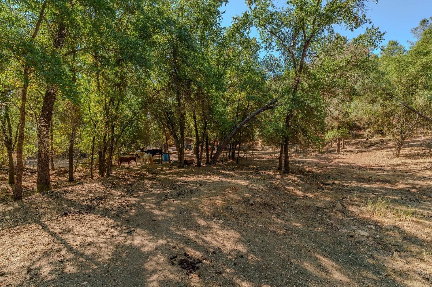 San Andreas, California, 95249, United States, 2 Bedrooms Bedrooms, ,2 BathroomsBathrooms,Residential,For Sale,1980033