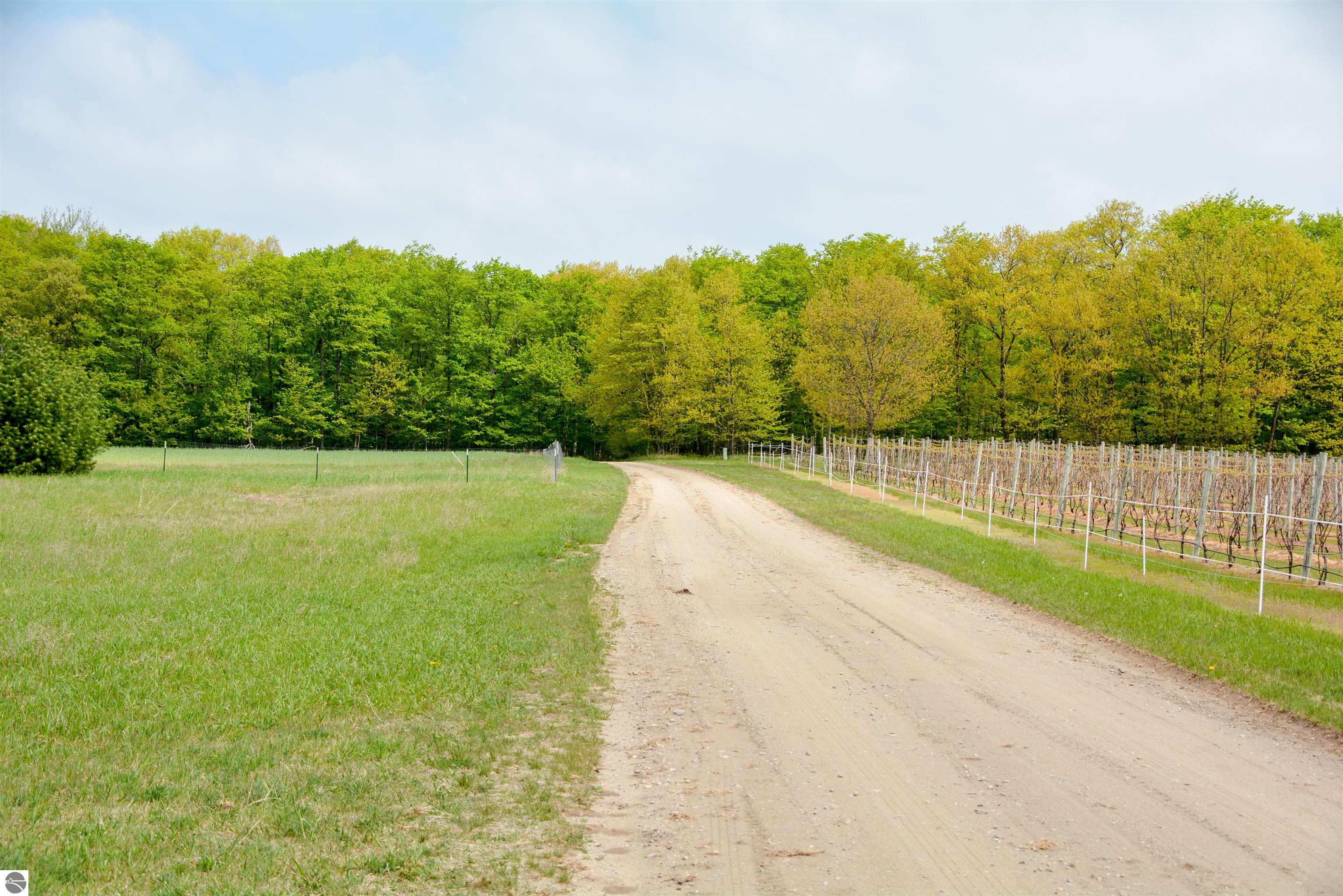 Traverse City, Michigan, 49686, United States, ,Land,For Sale,1817829