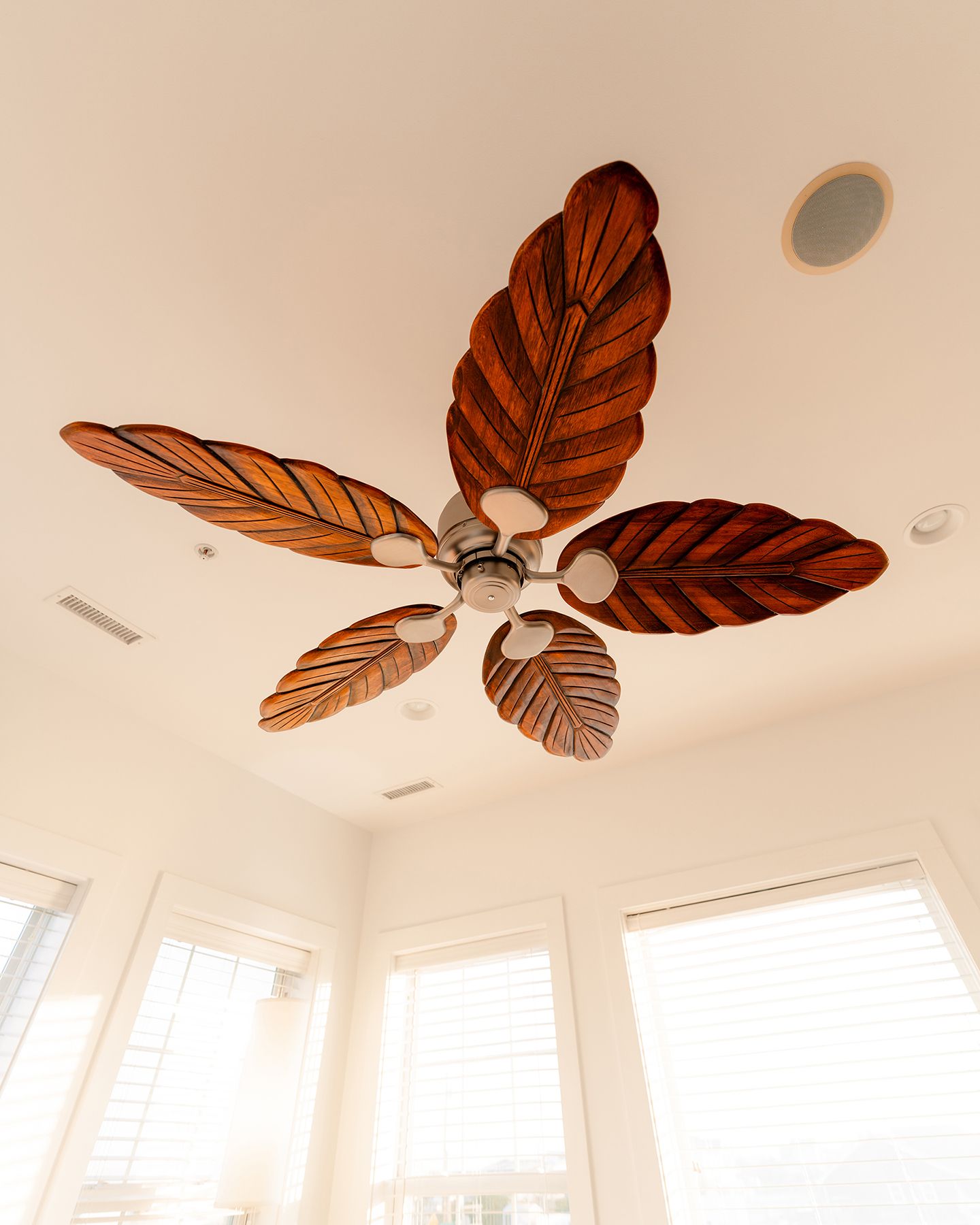  808 S Anderson Boulevard, Topsail Beach, NC 28445 - 物件實景
