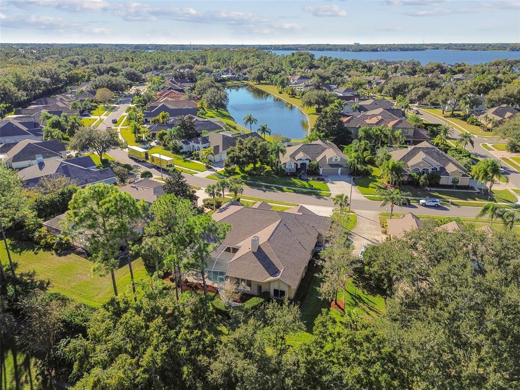 Palm Harbor, Florida, 34685, United States, 4 Bedrooms Bedrooms, ,4 BathroomsBathrooms,Residential,For Sale,1992596