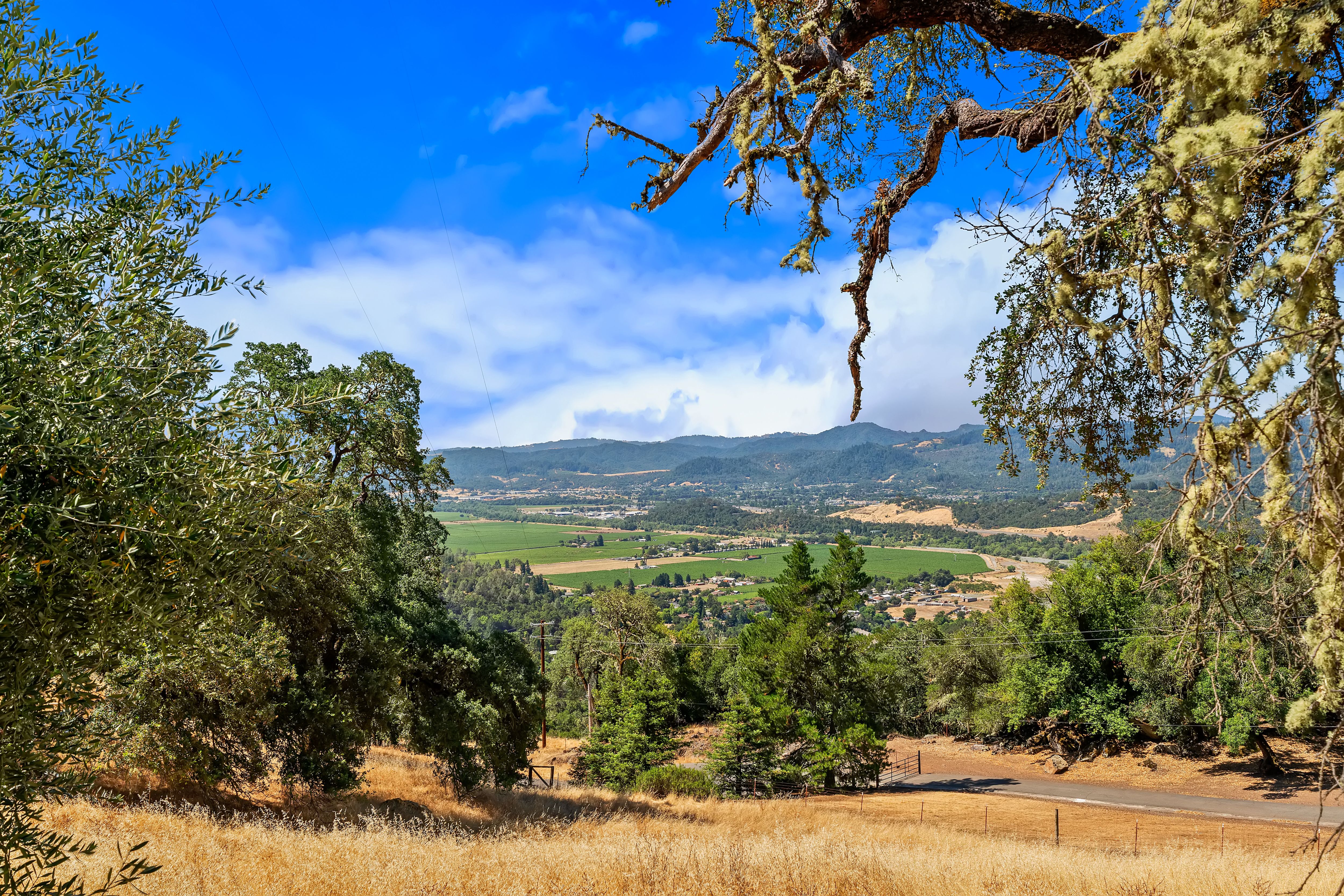  Exceptional Estate Perched On Over 11± Private Acres - 物件實景