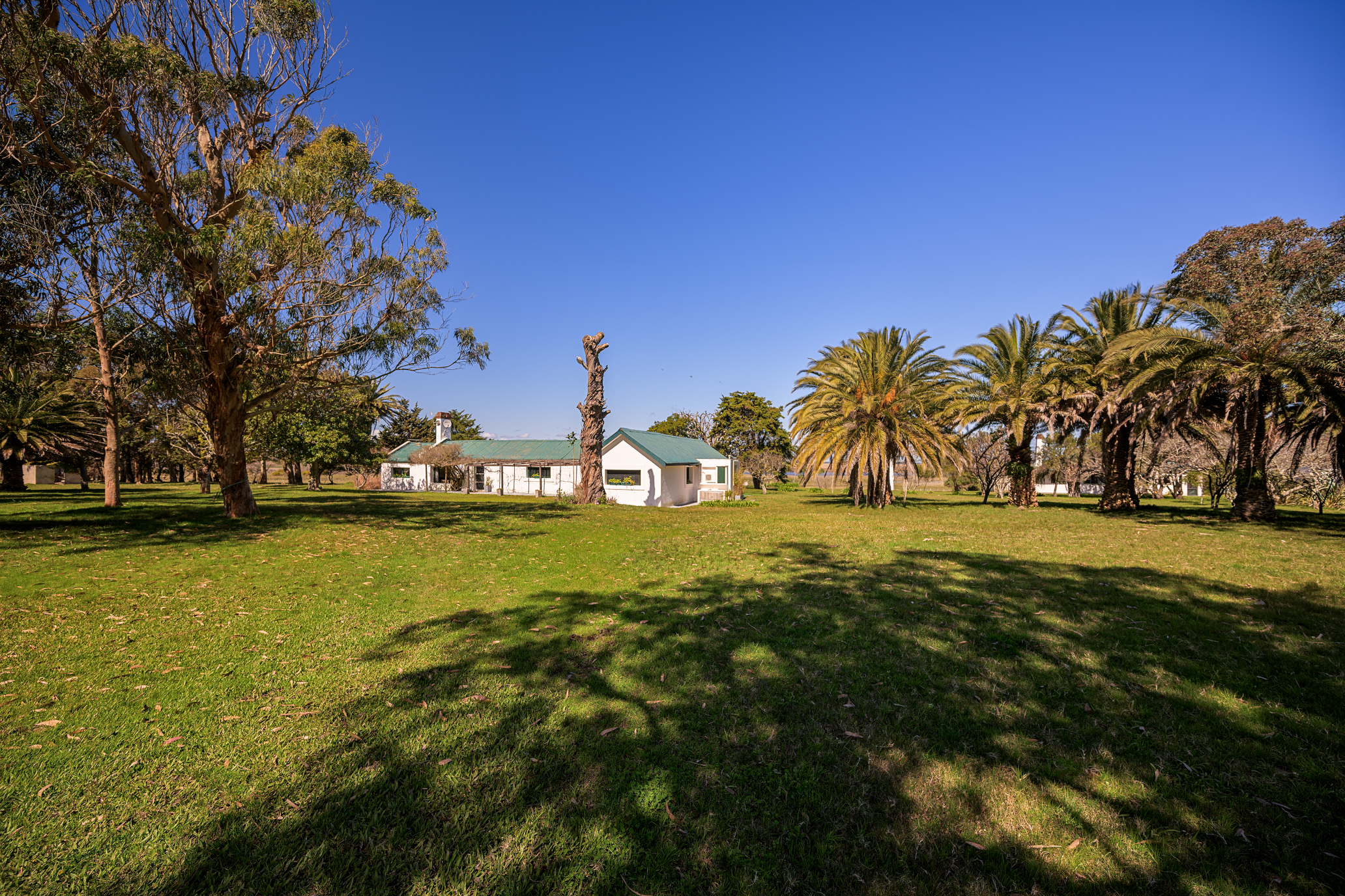  La Virazón  597-Hectare Oceanfront Estate in Rocha, Uruguay - 物件實景