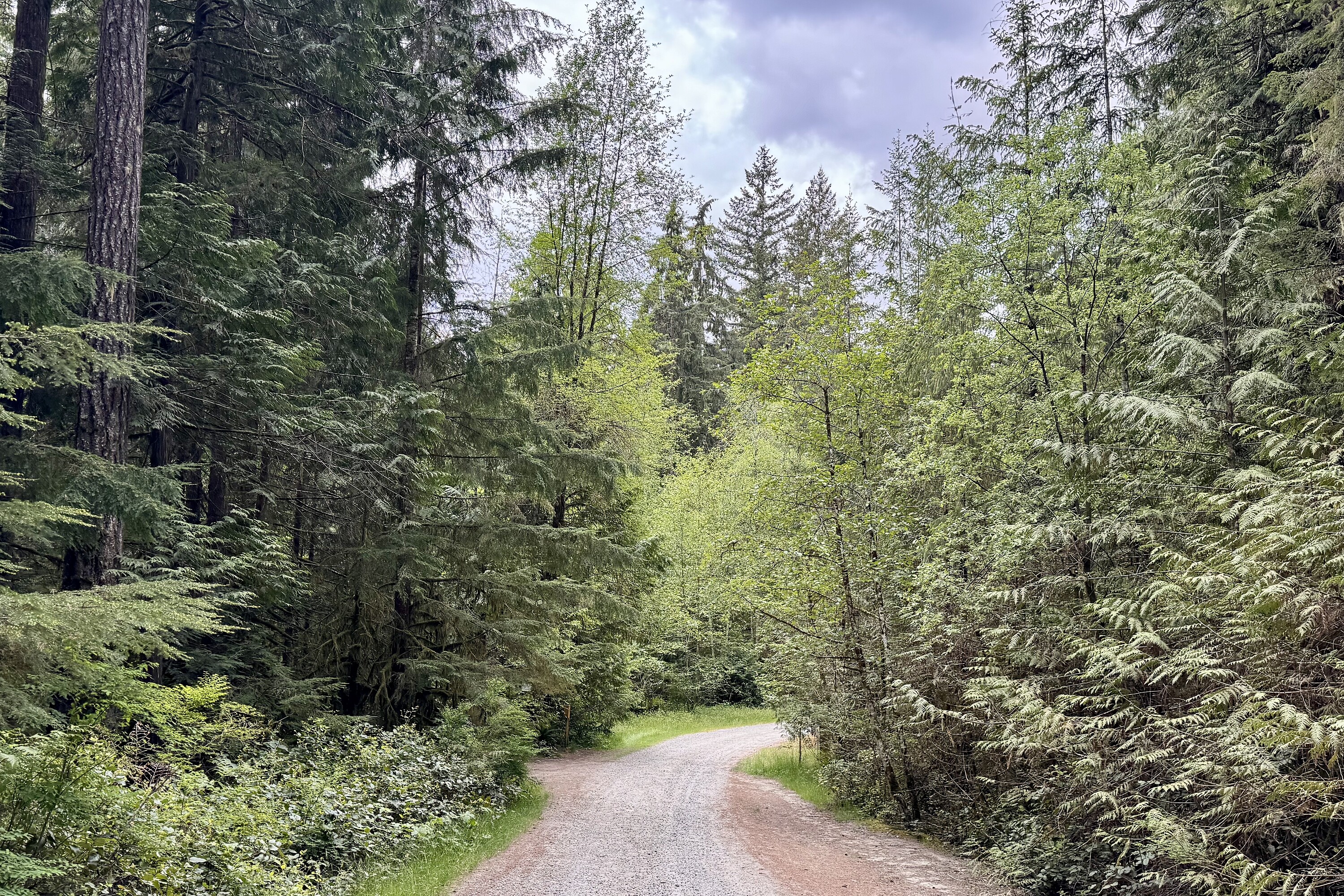  Sechelt, Sunshine Coast - 物件實景