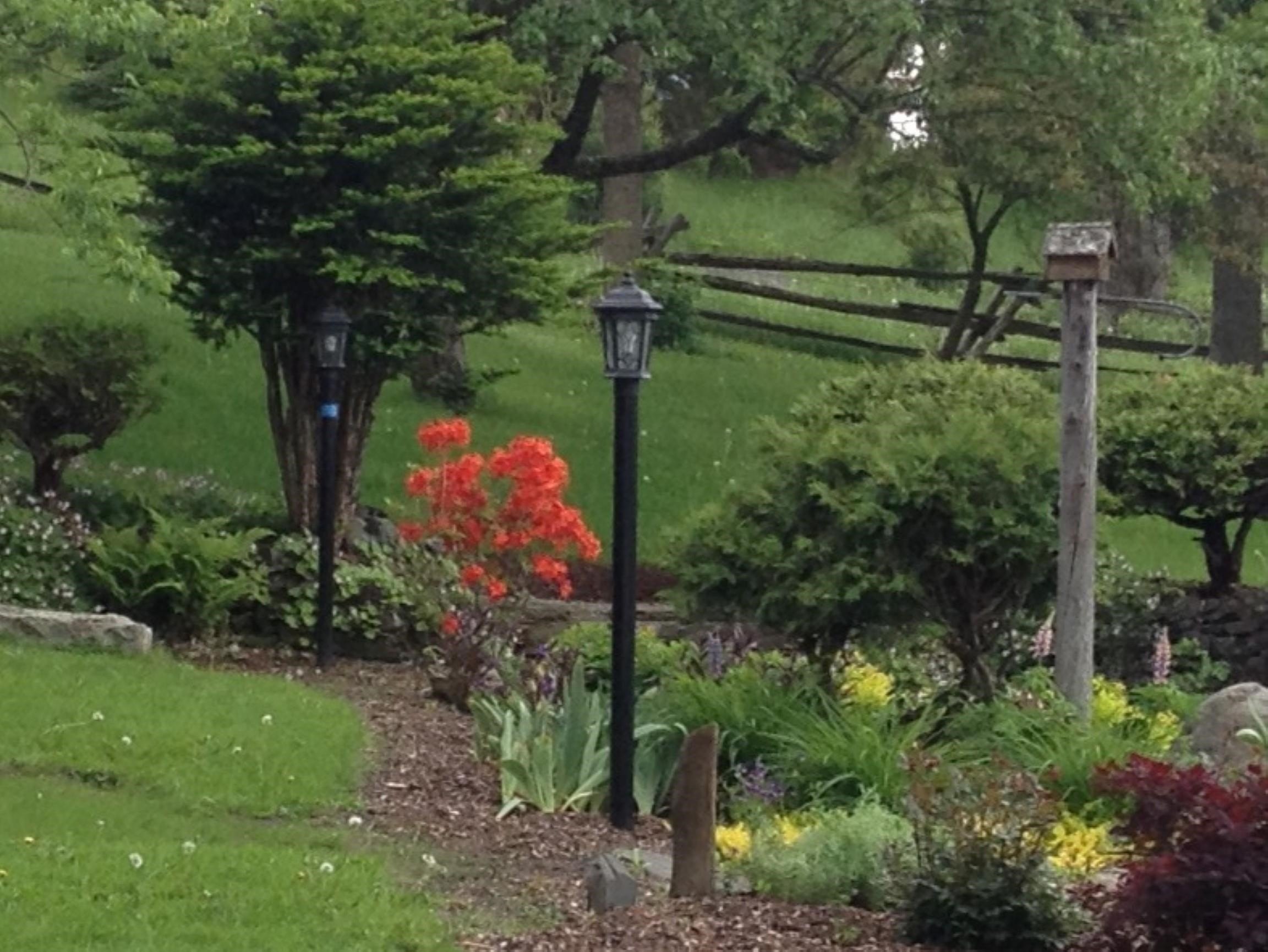 Derby, Vermont, 05829, United States, ,Residential,For Sale,1998770