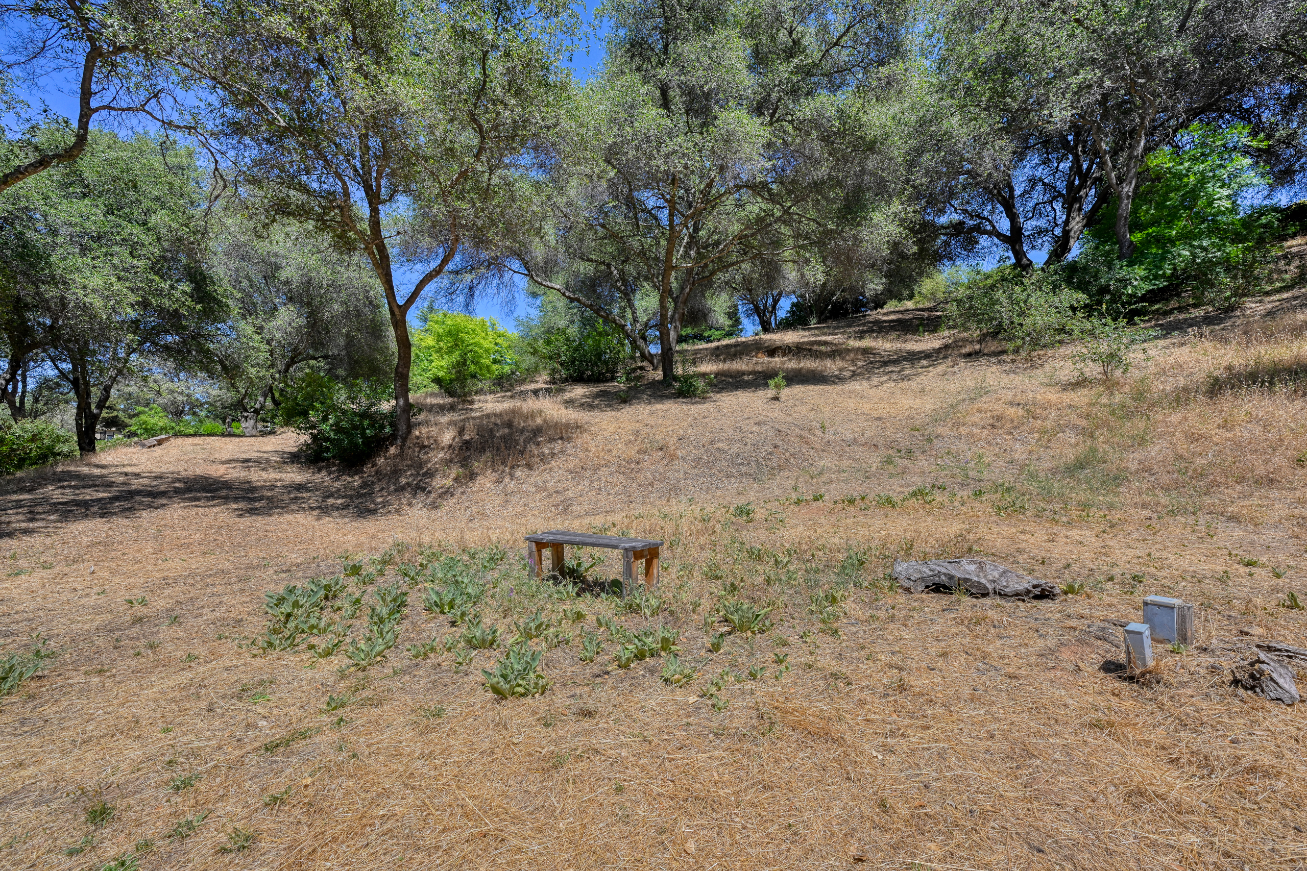  70 Whittington Drive, Newcastle, CA 95658 - 物件實景