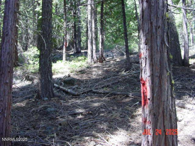 Clio, California, 96106, United States, ,Residential,For Sale,1932823
