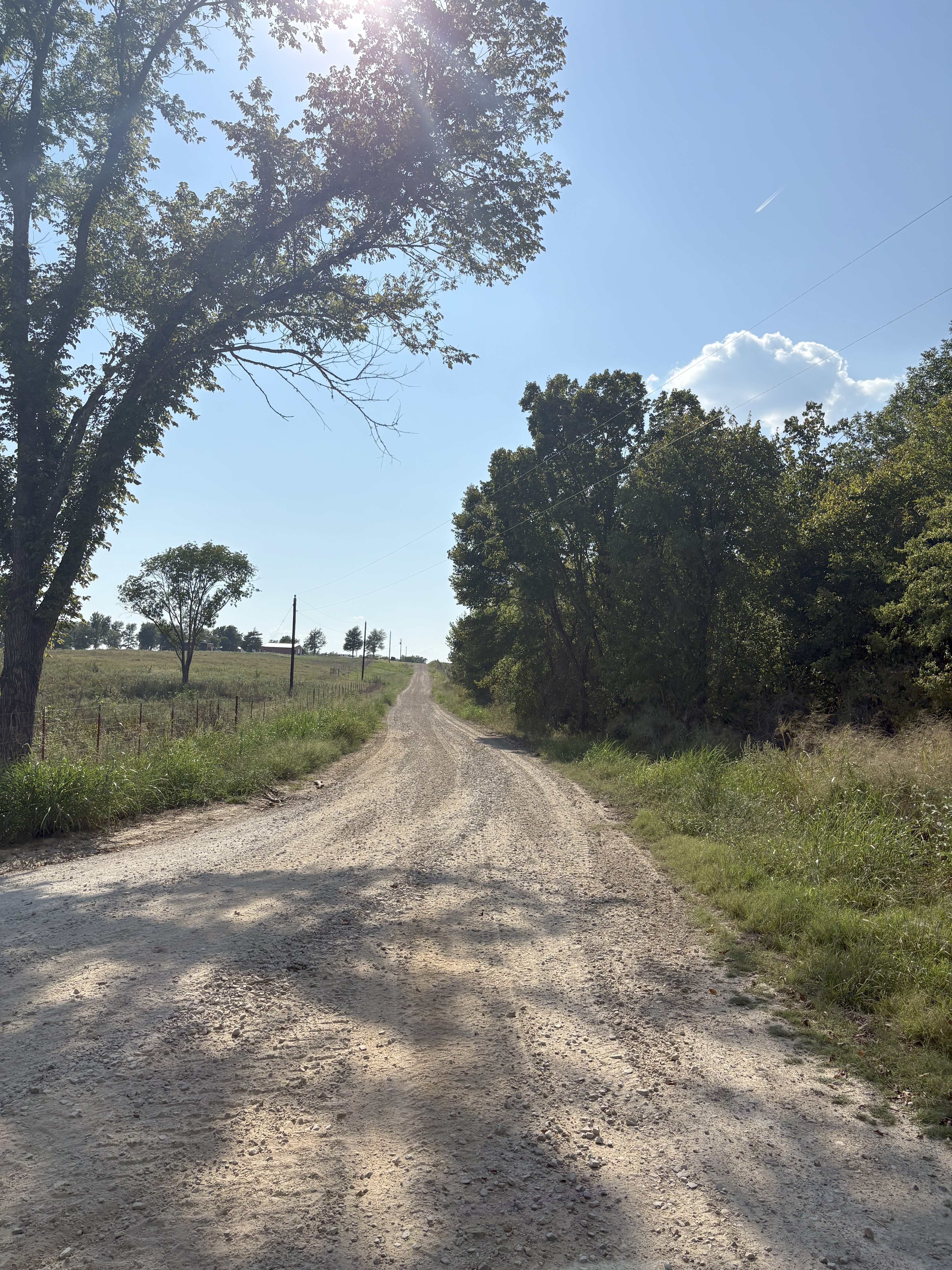 Roxton, Texas, 75477, United States, ,Land,For Sale,1979032
