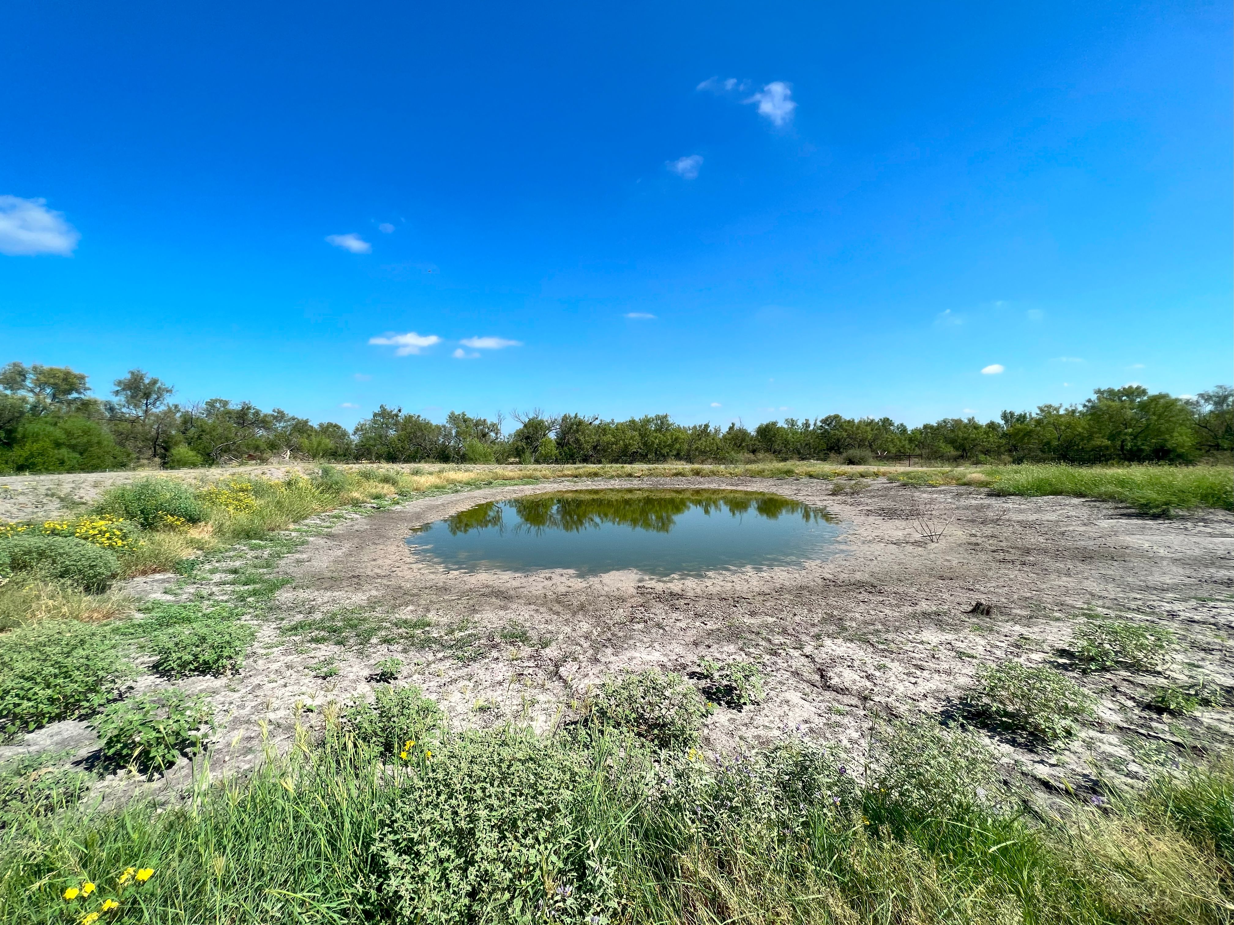  375+/- La Pryor Farm, Zavala County , La Pryor, TX 78872 - 物件實景