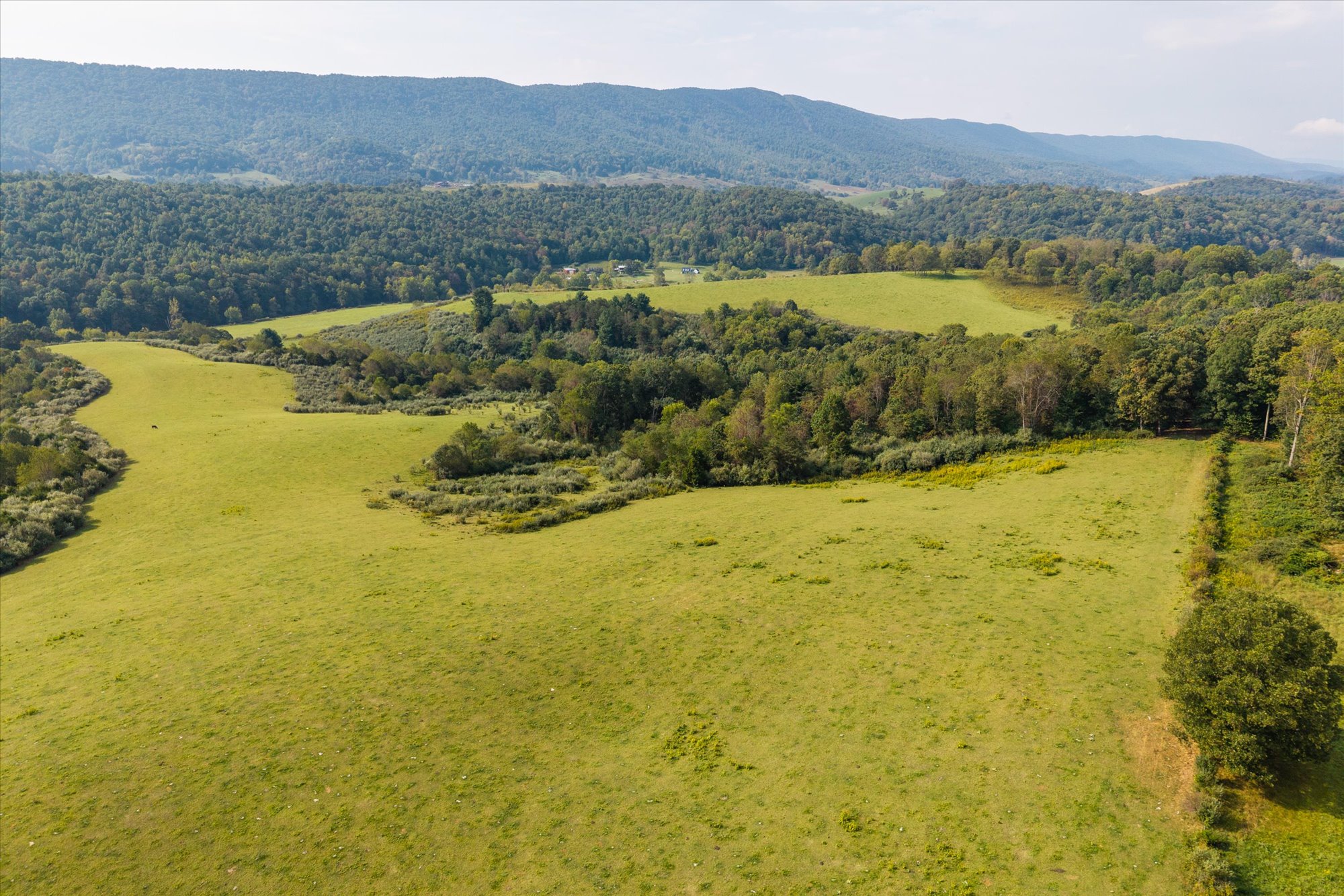  Crystal Springs Farm - 物件實景