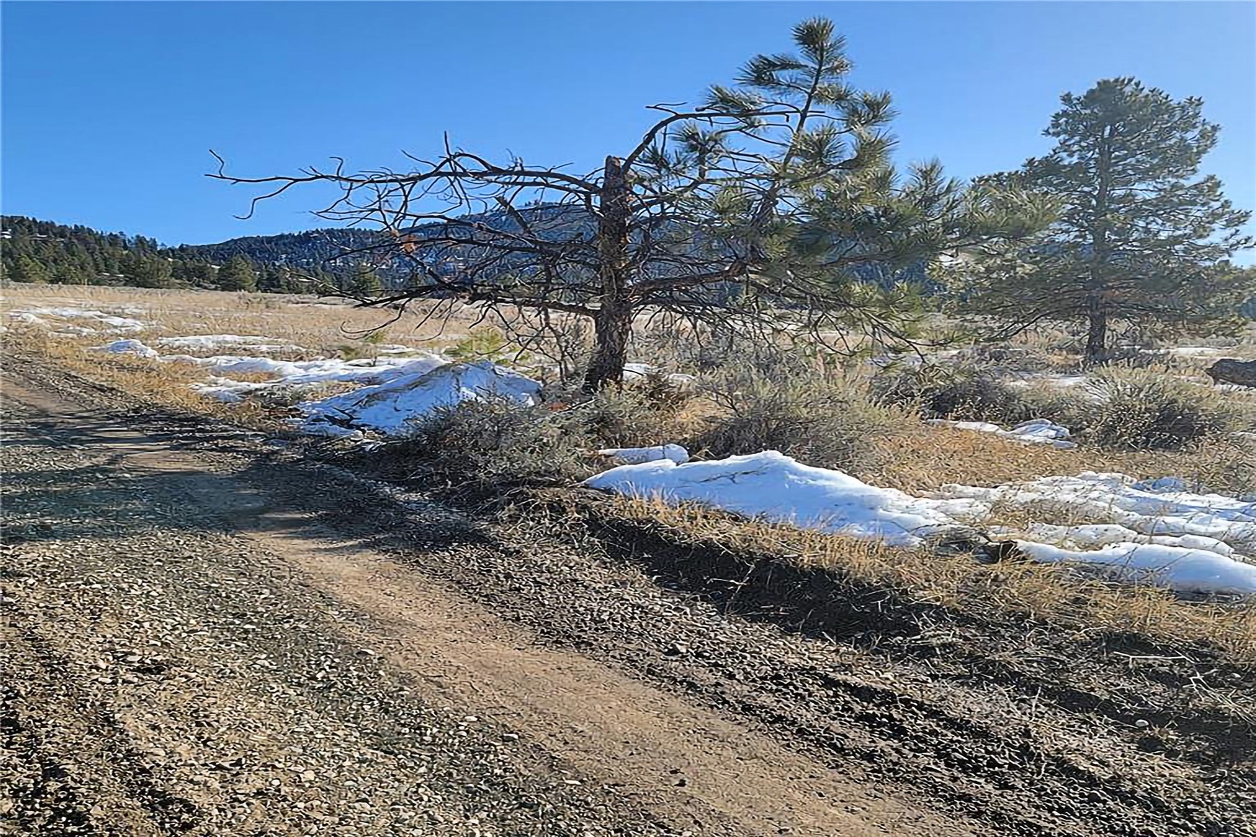 Lot A & B Sapphire Ranch Trail - 物件實景