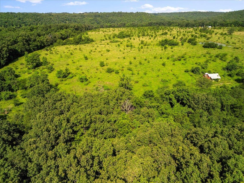 Udall, Missouri, 65766, United States, ,Land,For Sale,1984172