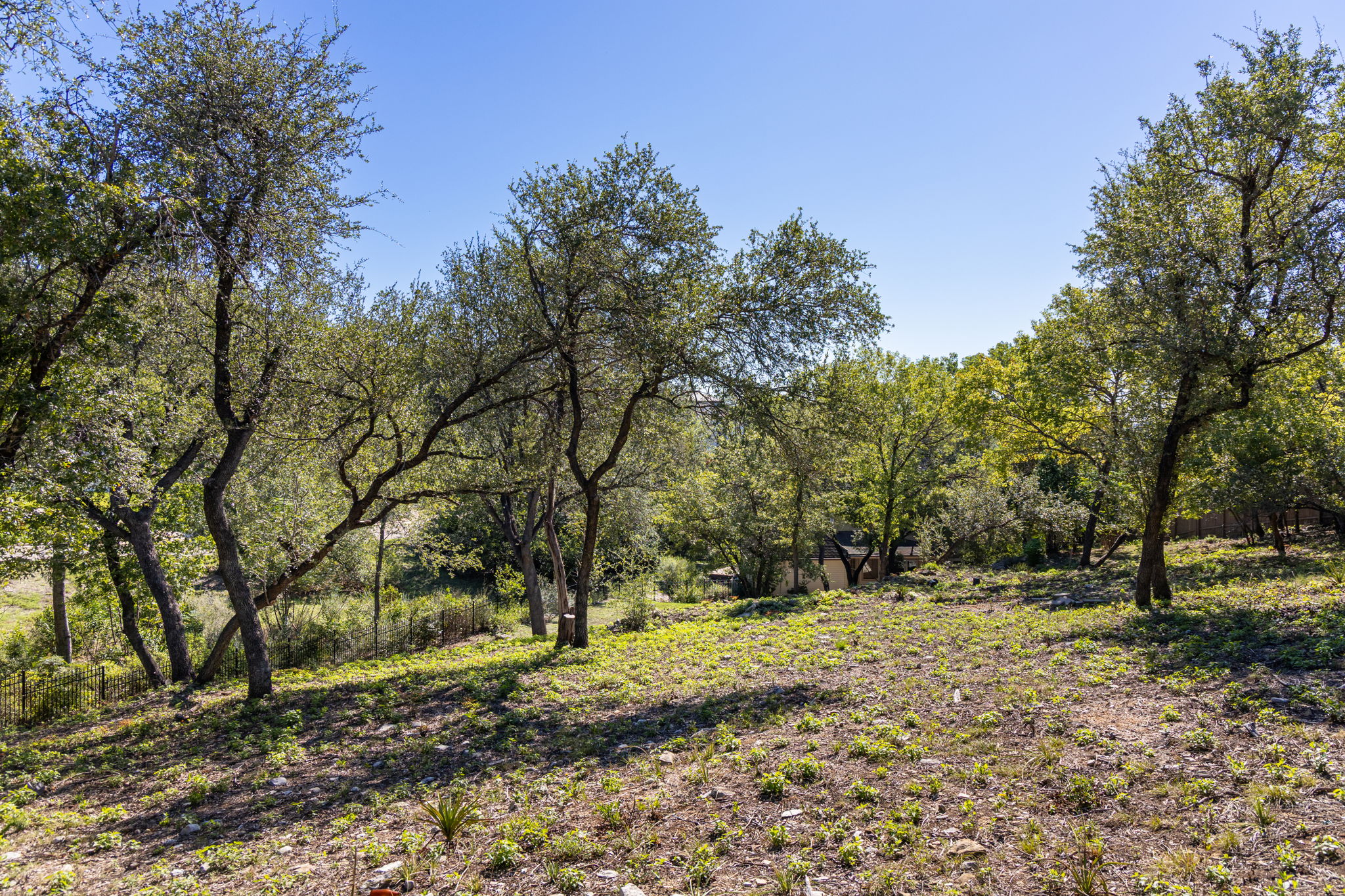  The Mount Bonnell Legacy Estate - 物件實景
