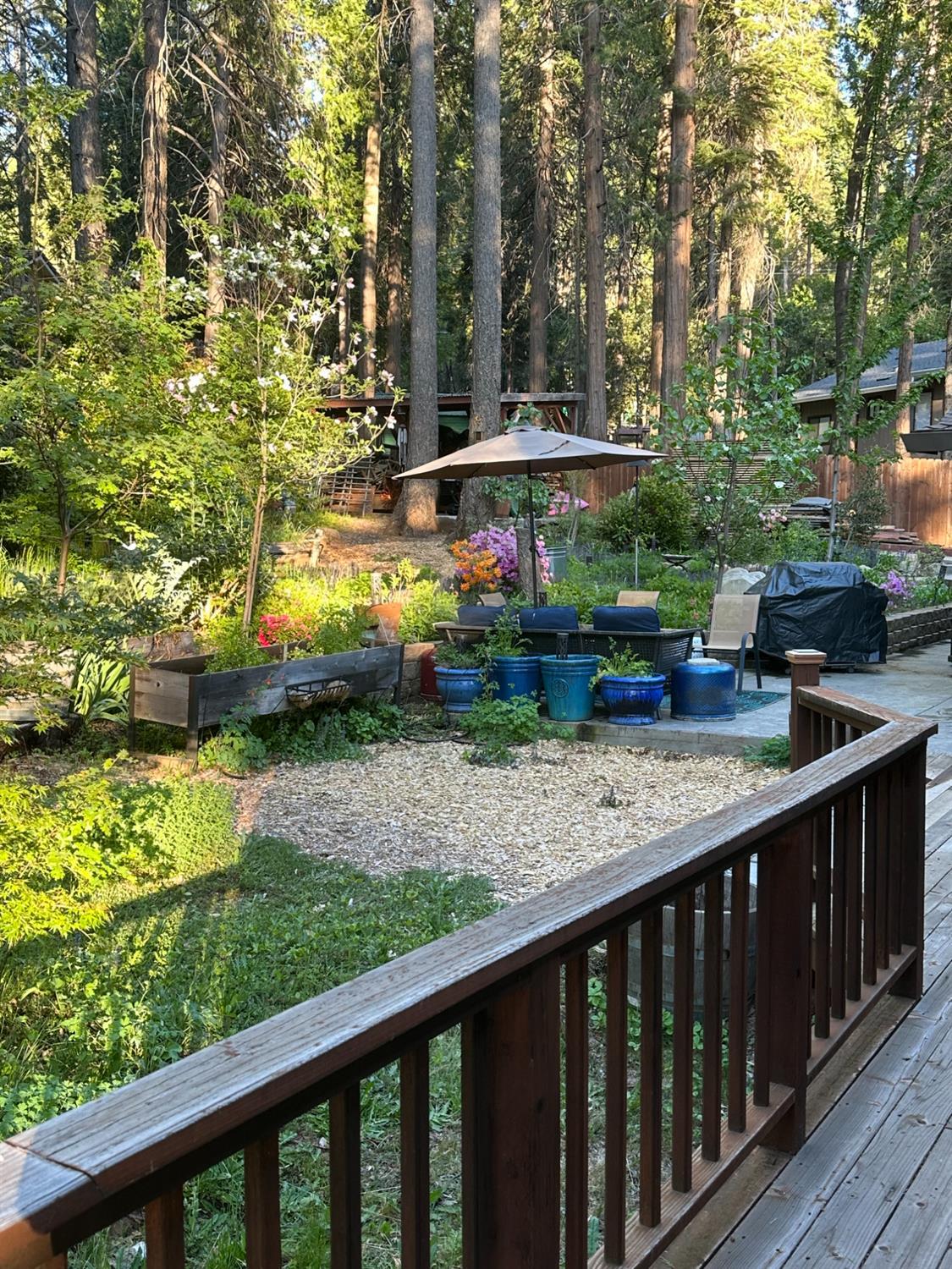 Nevada City, California, 95959, United States, 3 Bedrooms Bedrooms, ,3 BathroomsBathrooms,Residential,For Sale,1945021
